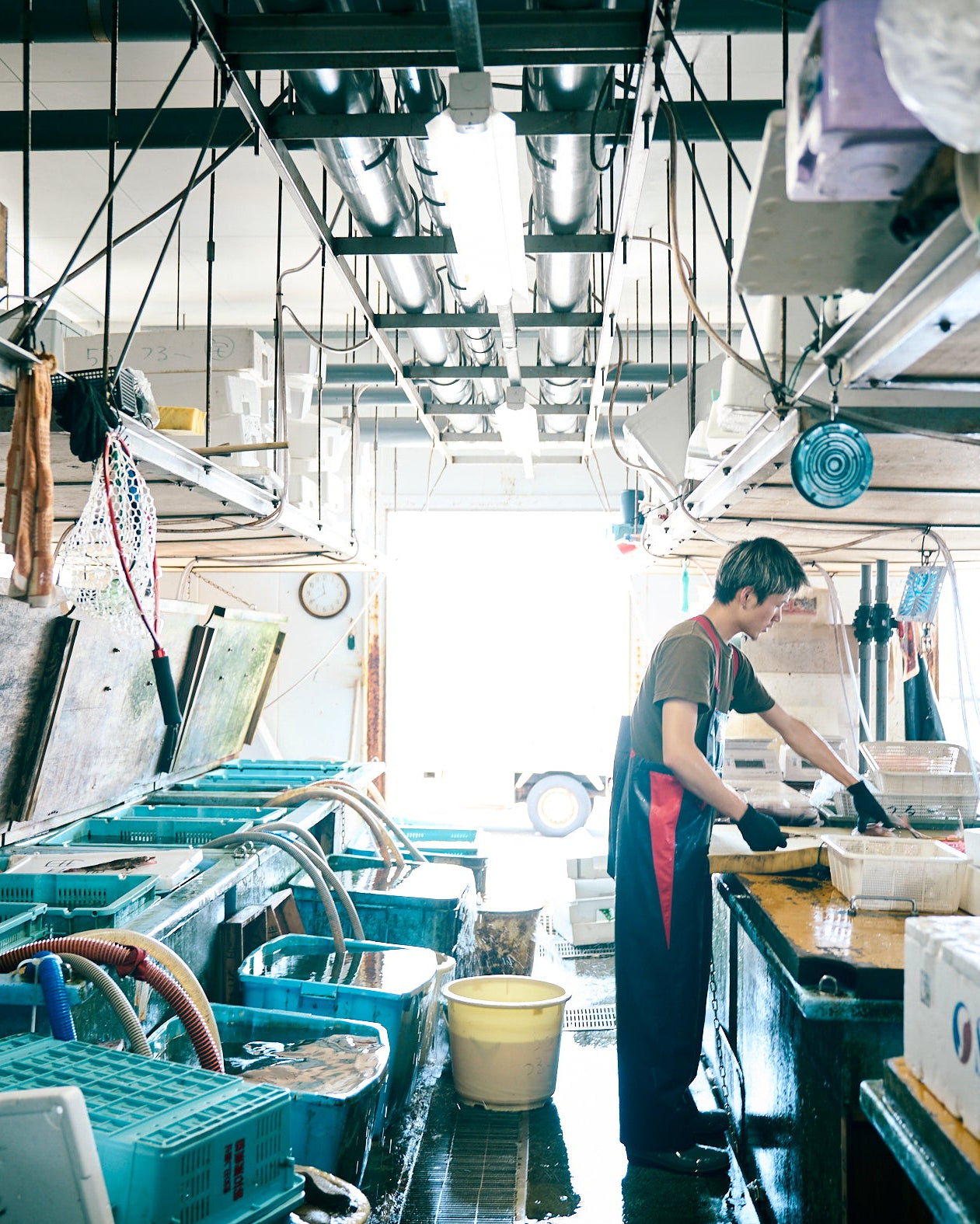 Akashiura Fishing Port, Hyogo Prefecture Seasonal Seafood Set B (4-6 varieties, approx. 4-5kg)
