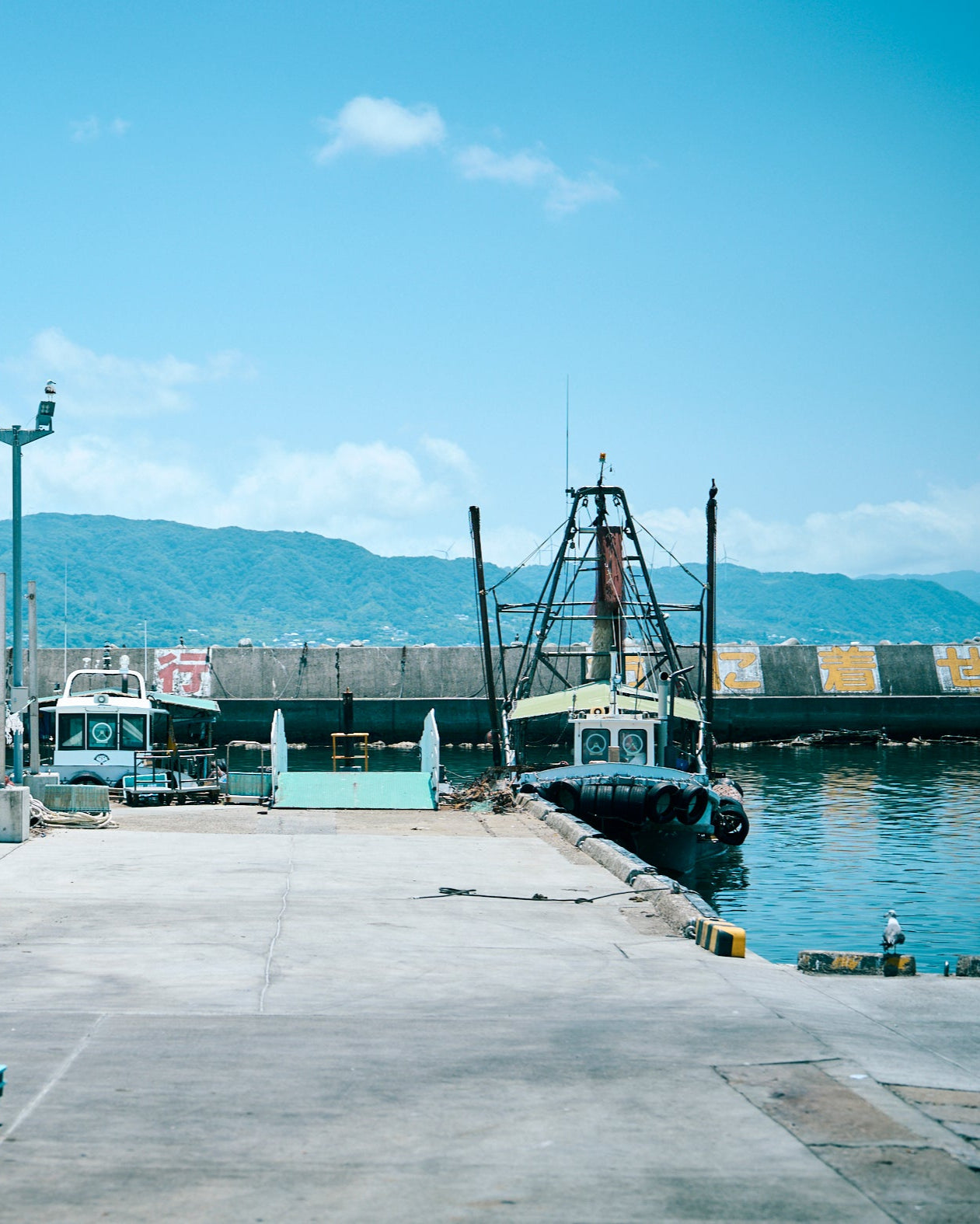 Akashiura Fishing Port, Hyogo Prefecture Seasonal Seafood Set A (4-6 varieties, approximately 2.5-3kg)