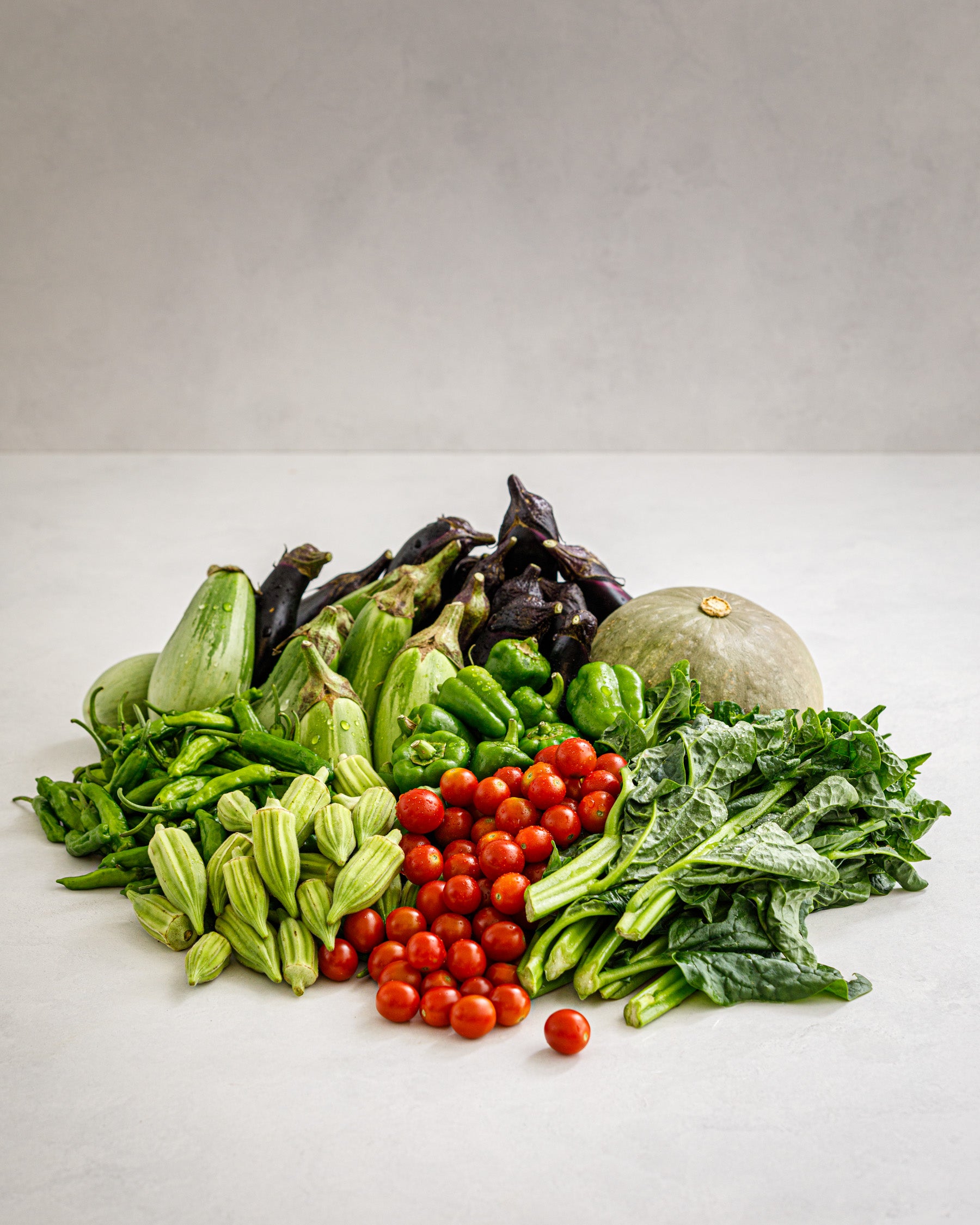 千葉県館山・南房総 旬の野菜セットA 大容量パック