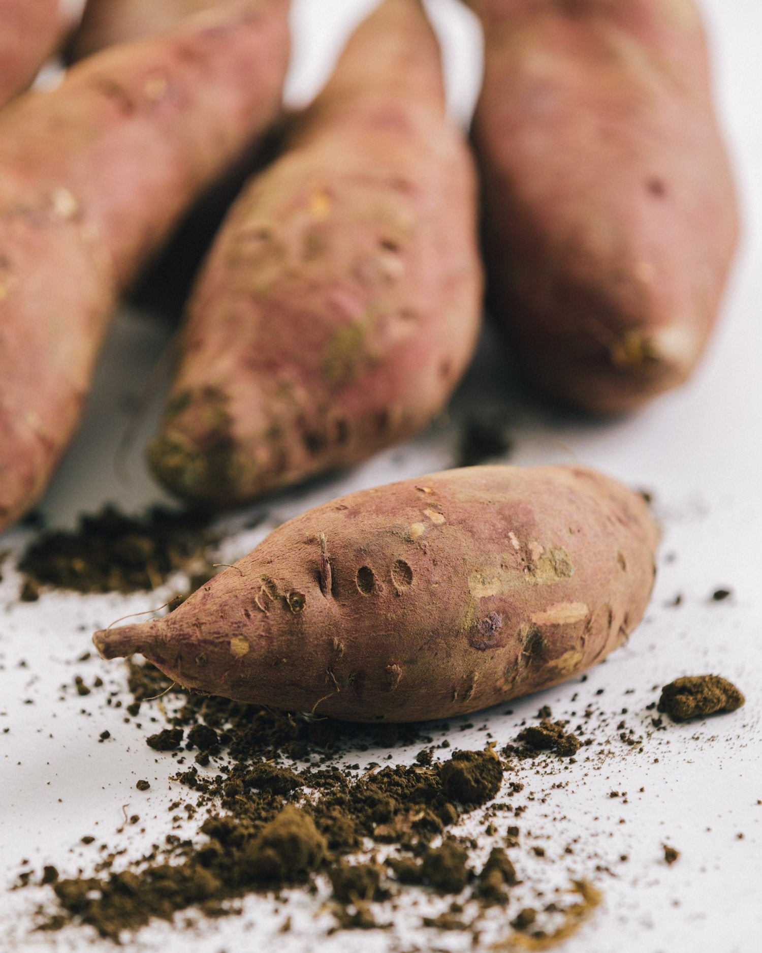 千葉県館山・南房総 さつまいも(シルクスイート) 10kg