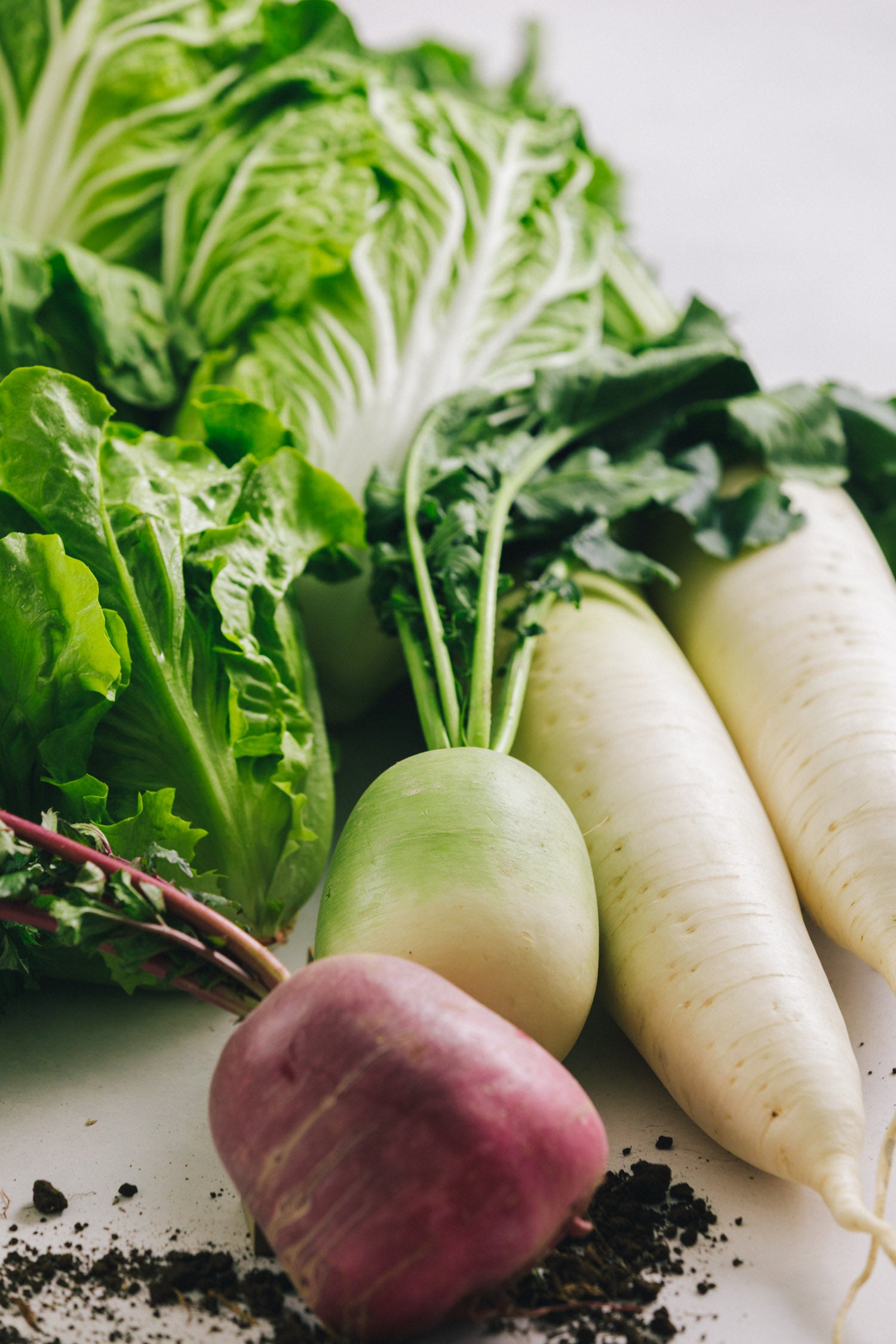 千葉県館山・南房総 旬の野菜お試しセット