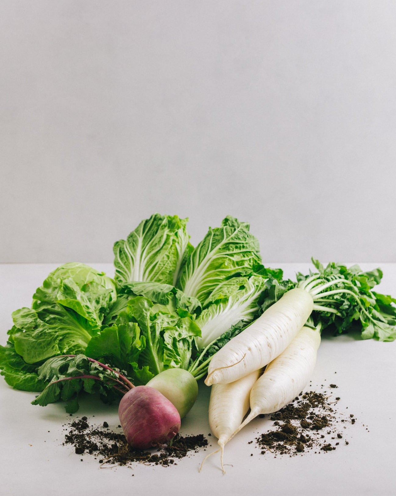 千葉県館山・南房総 旬の野菜セットA(5~7種)