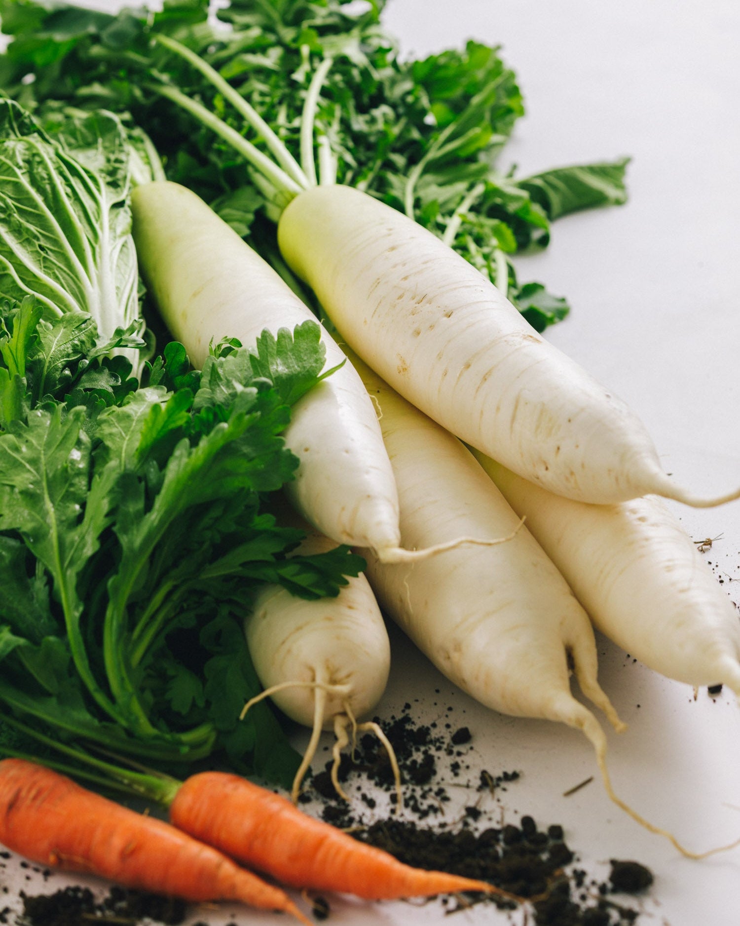 千葉県館山・南房総 鍋野菜セット
