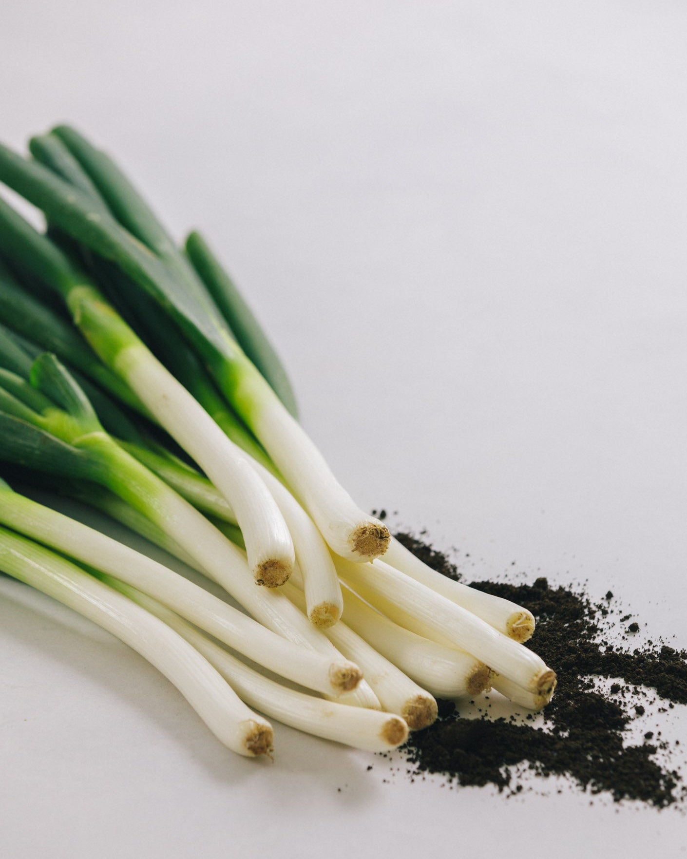 埼玉県小川町 長ネギ 3kg