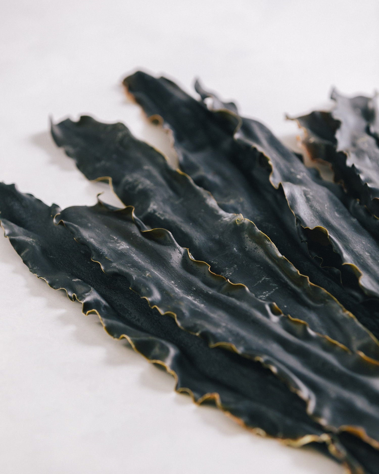 北海道礼文島 2025年夏獲れ利尻昆布 通常 300g 1pc