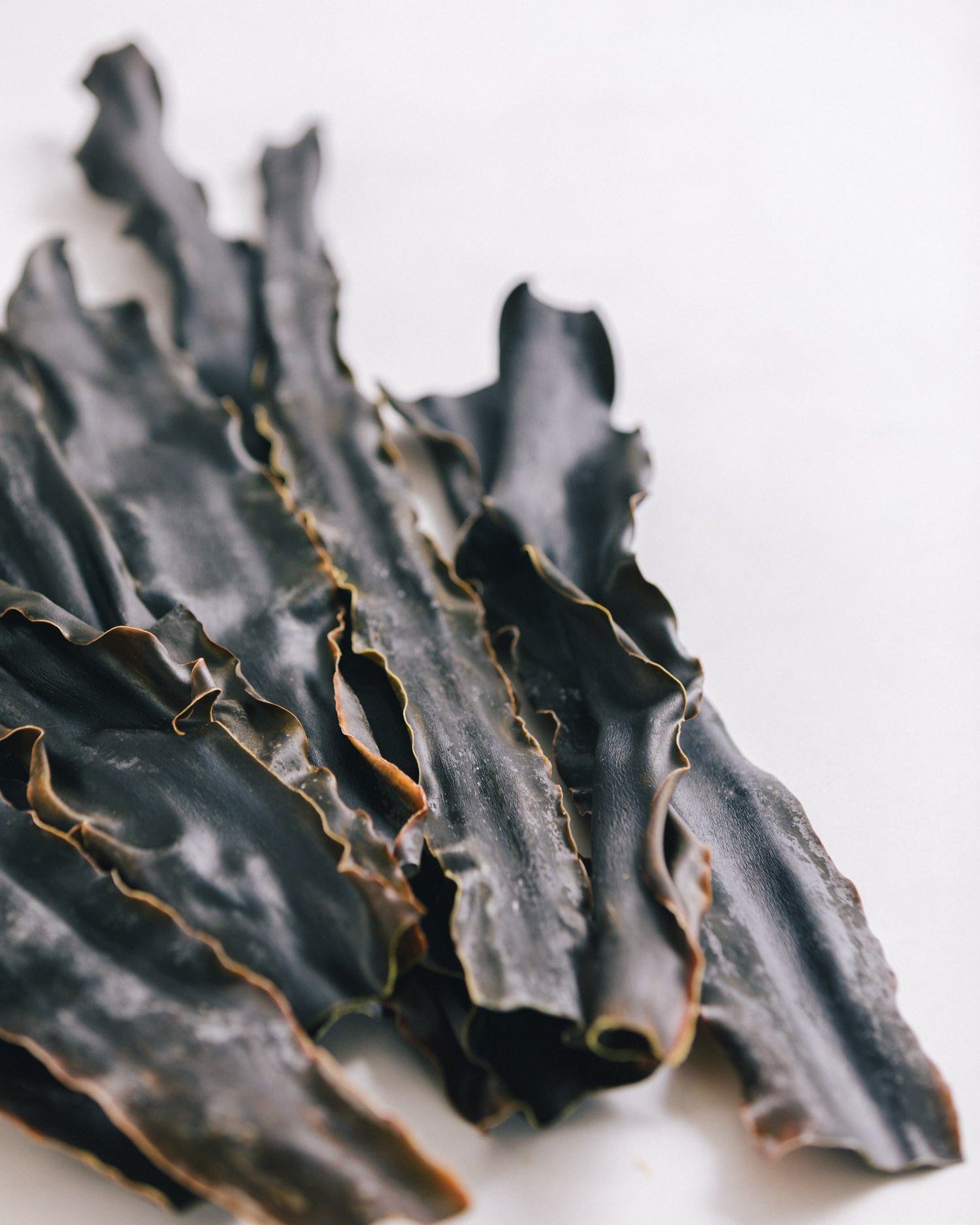 北海道礼文島 2024年夏獲れ利尻昆布 通常 300g 1pc