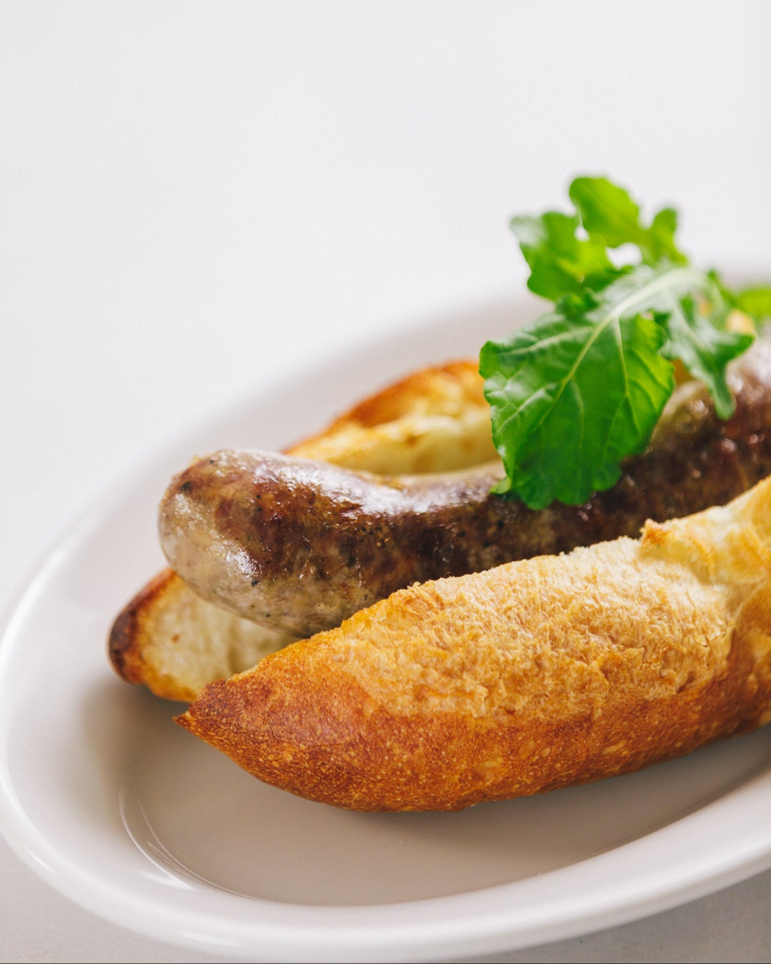 千葉県鴨川 熟成ジビエ 猪ソーセージ(ベーシック1種) 4本入りパック×2P(8本) 冷凍