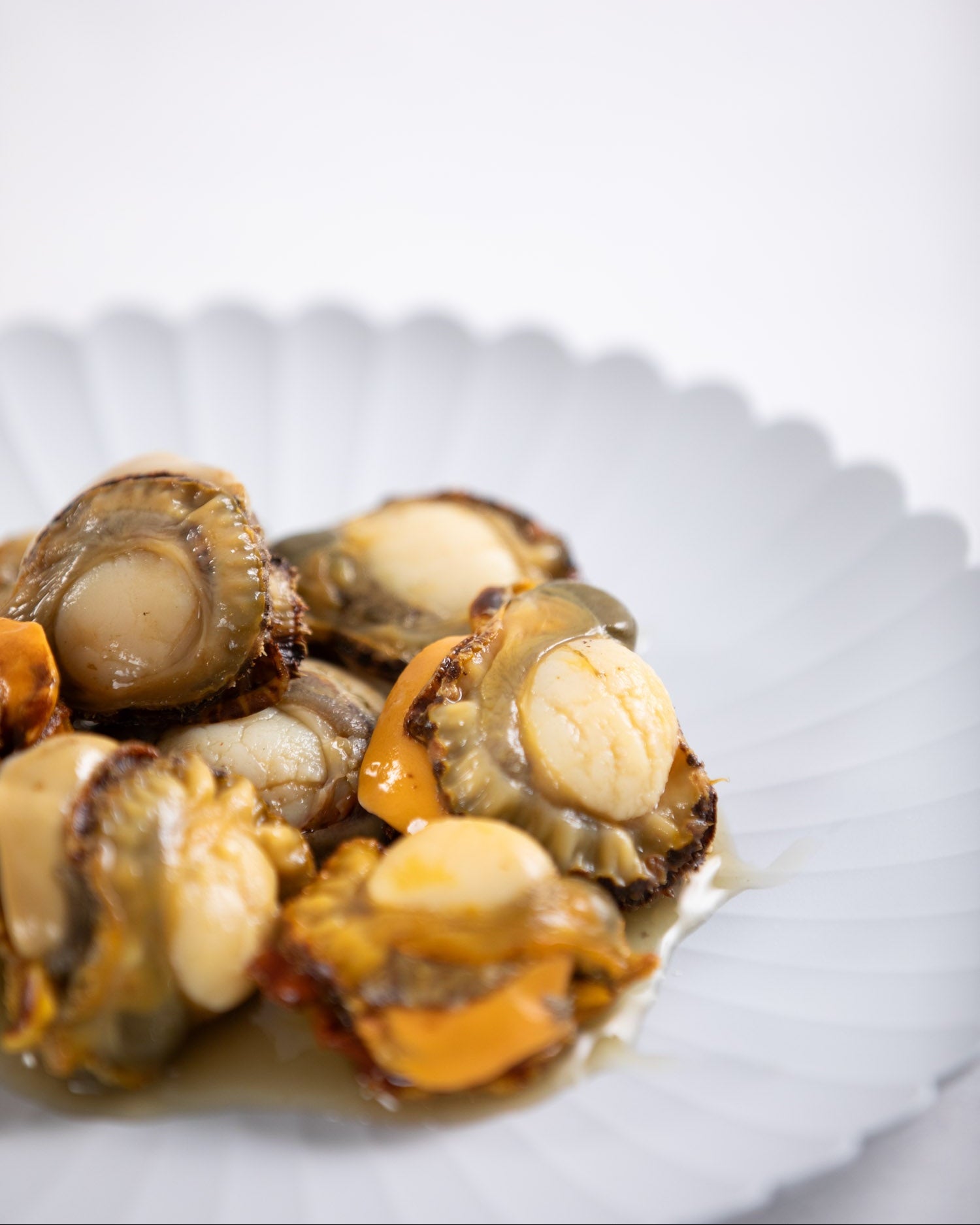 長崎県対馬 蒸しヒオウギ貝 2個入 10pc 冷凍