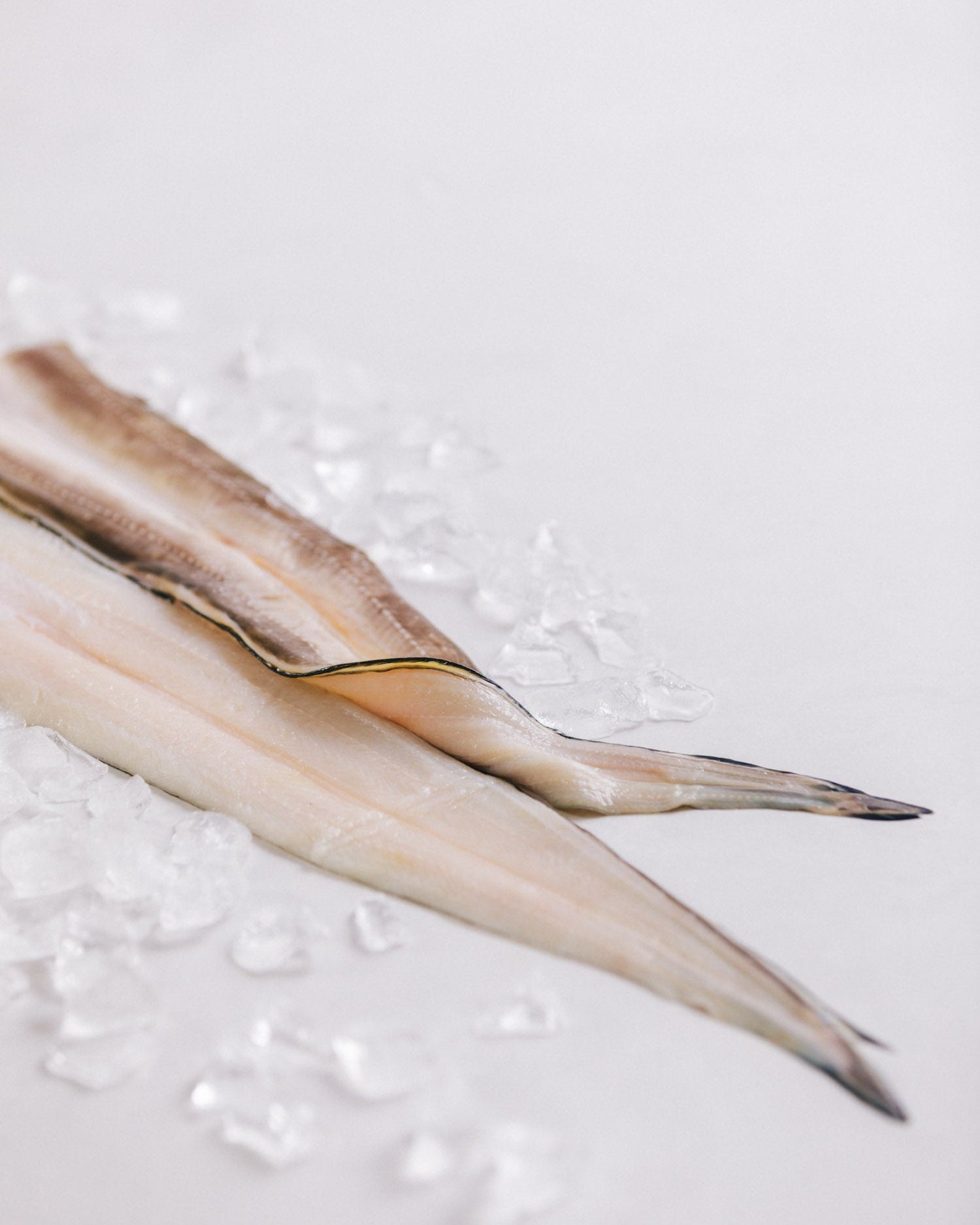 長崎県対馬 氷締め穴子の開き 2kg 冷凍