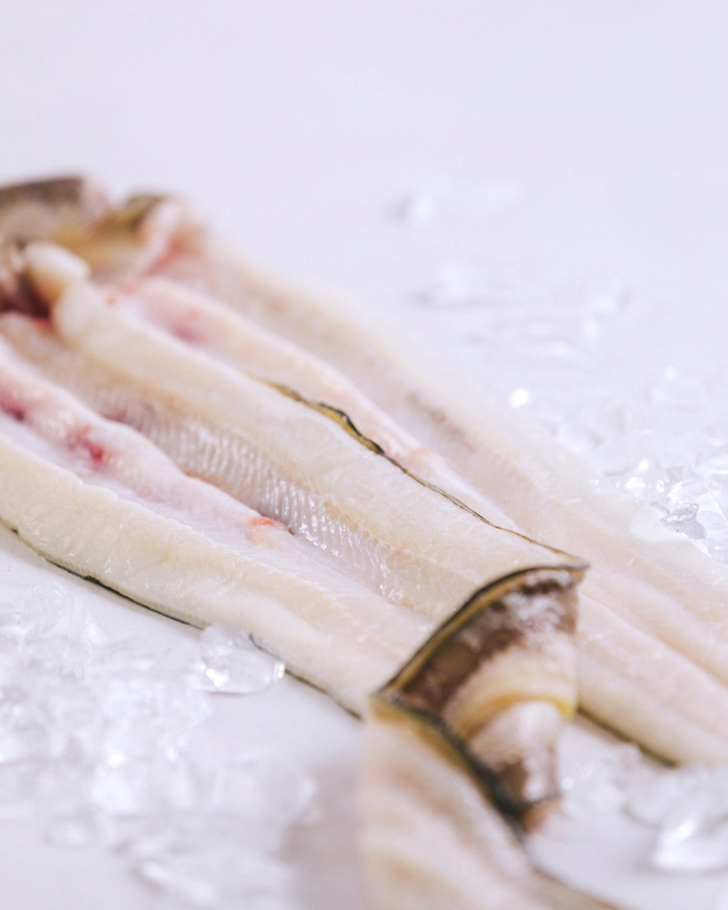 長崎県対馬 神経締め穴子の開き 1kg(お試し) 冷凍