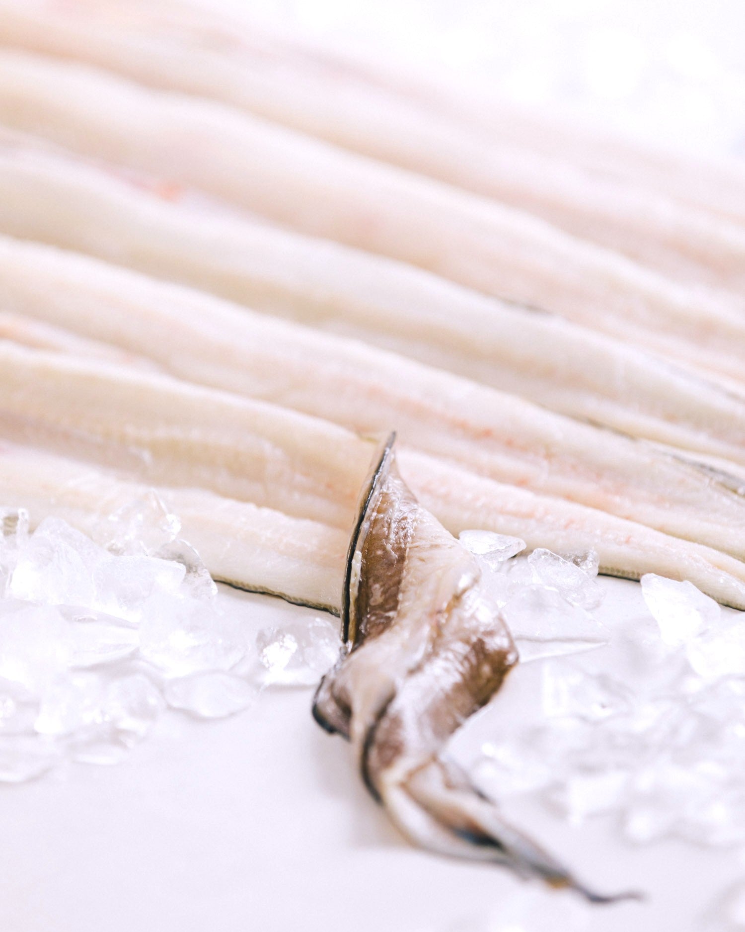 長崎県対馬 神経締め穴子の開き 2.5kg 冷凍