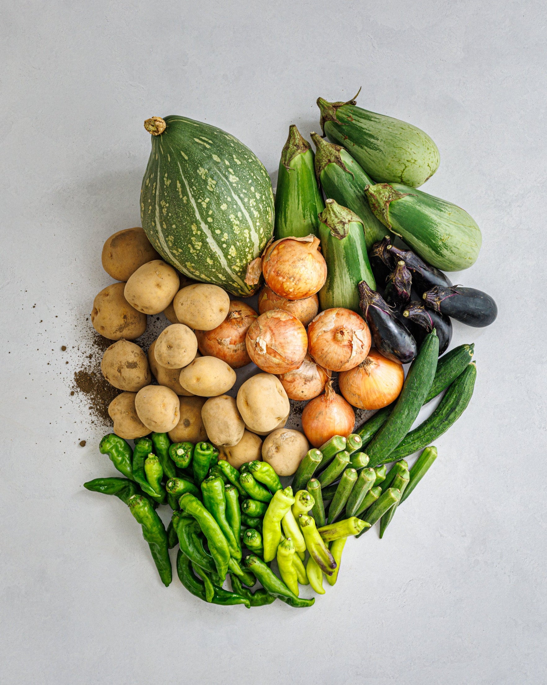 埼玉県小川町 旬の野菜セットA 大容量パック