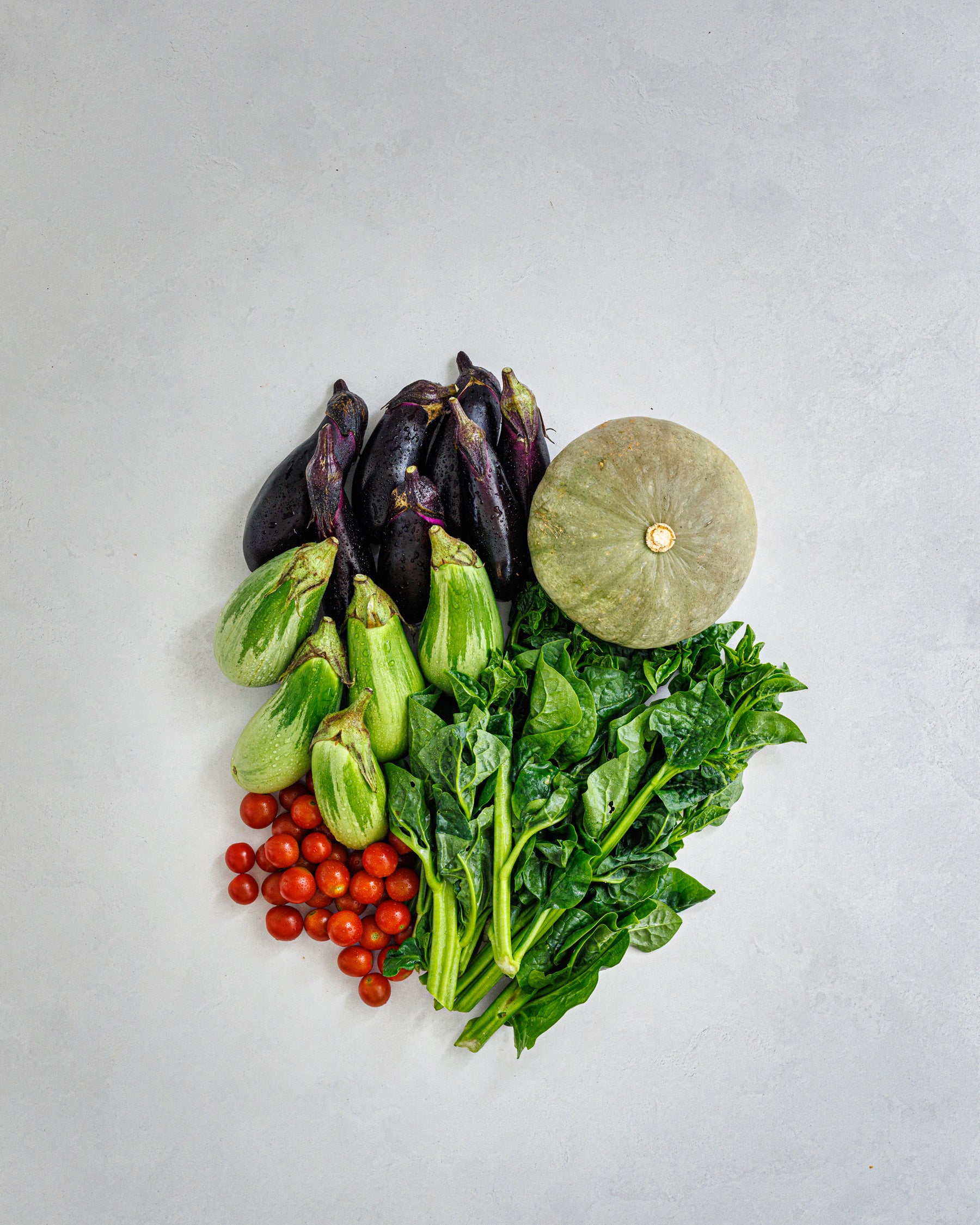 千葉県館山・南房総 旬の野菜お試しセット