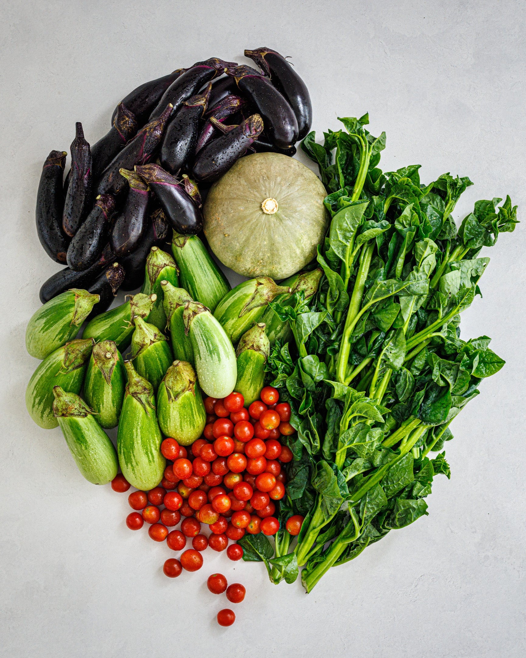 千葉県館山・南房総 旬の野菜セットA 大容量パック