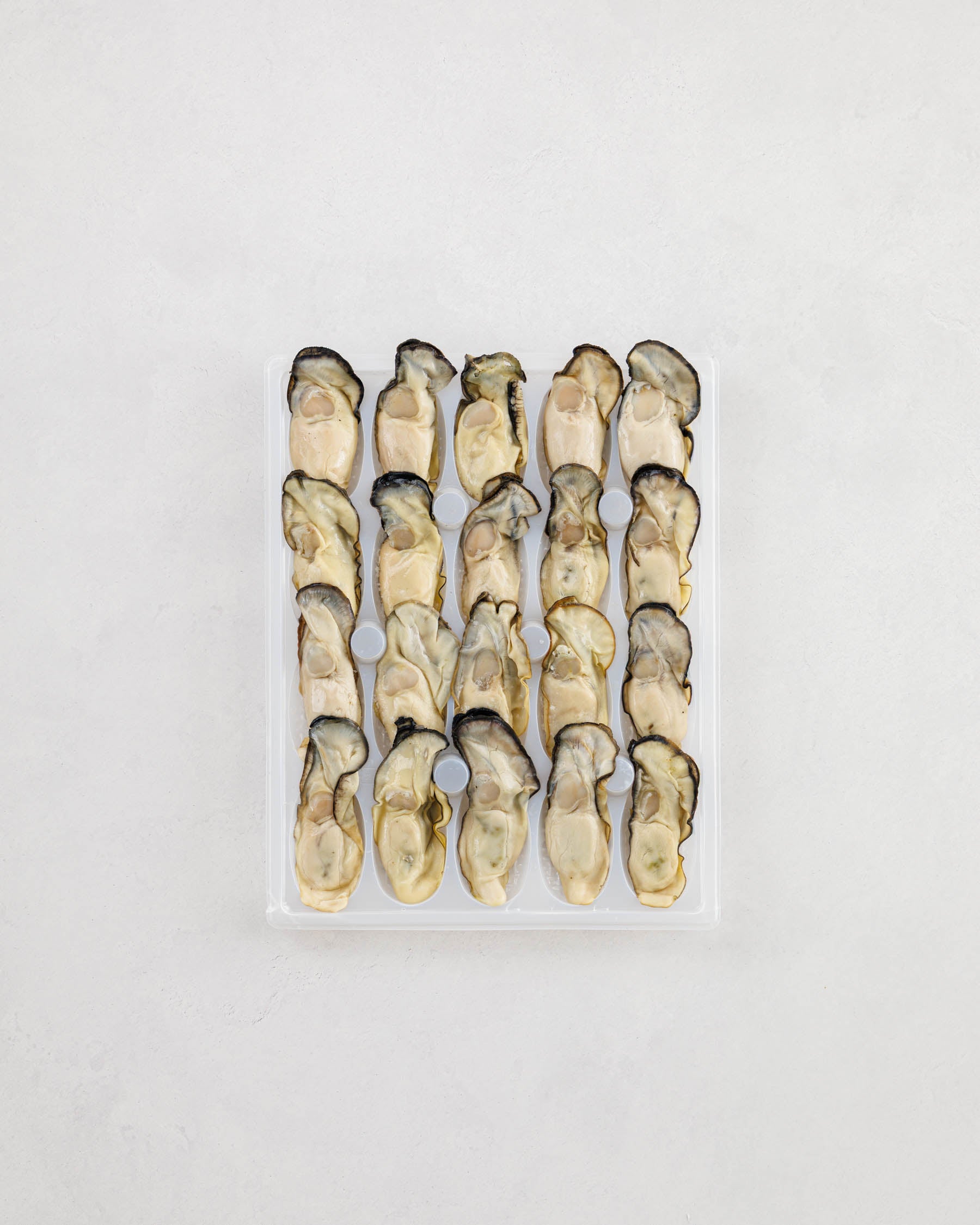Toyama Bay Seasonal Seafood Set A (3-5 types, approximately 2.5 kg)