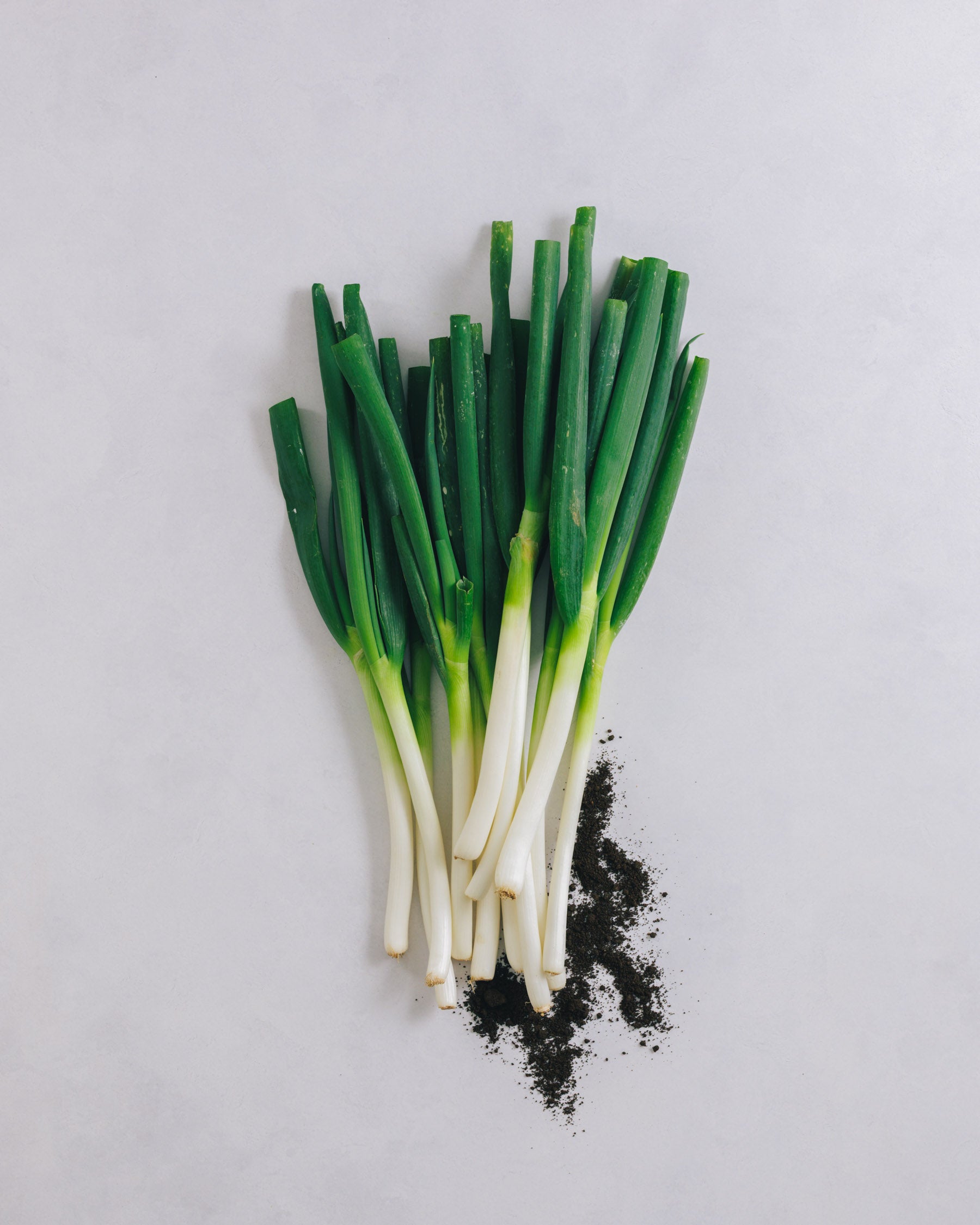 埼玉県小川町 長ネギ 3kg