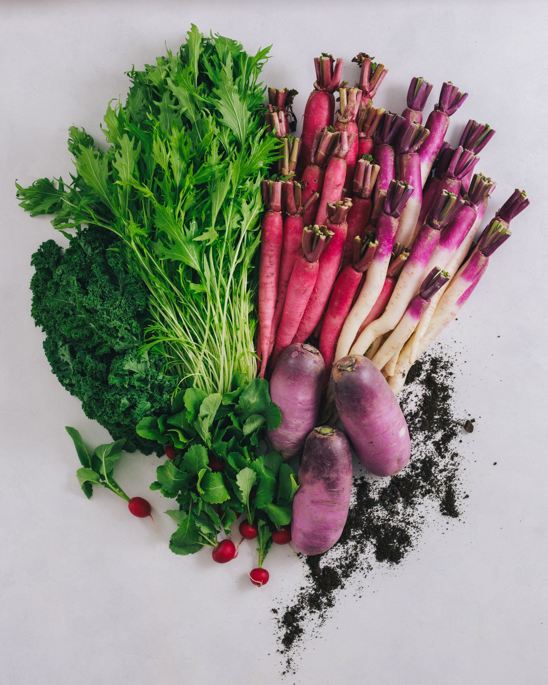 埼玉県小川町 旬の野菜セットA 大容量パック