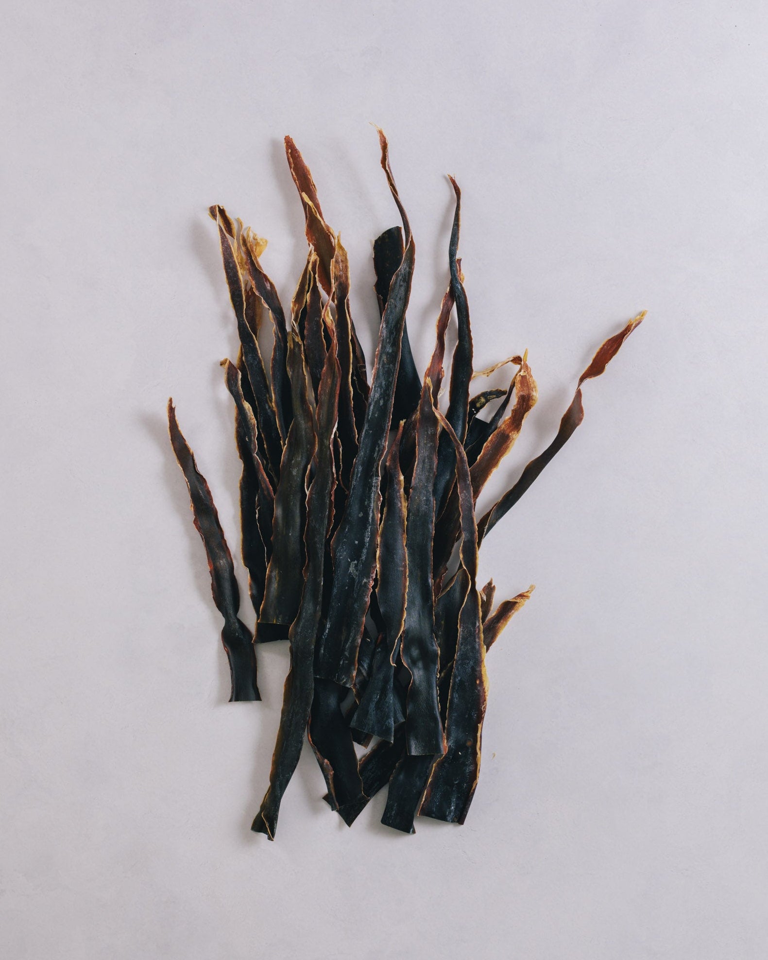 北海道礼文島 2024年夏獲れ利尻昆布 先 300g 1pc