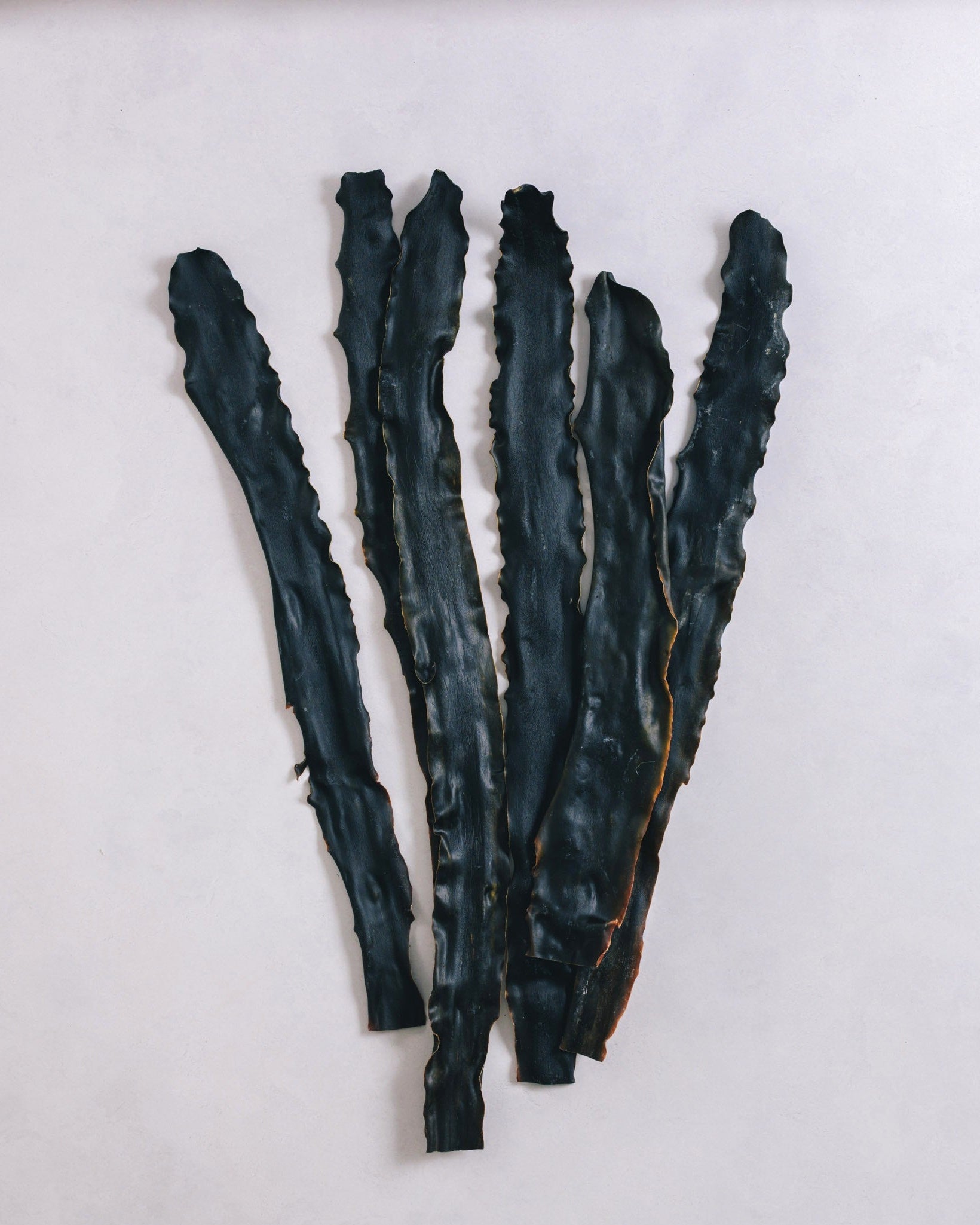 北海道礼文島 2024年夏獲れ利尻昆布 プレミアム 300g 1pc