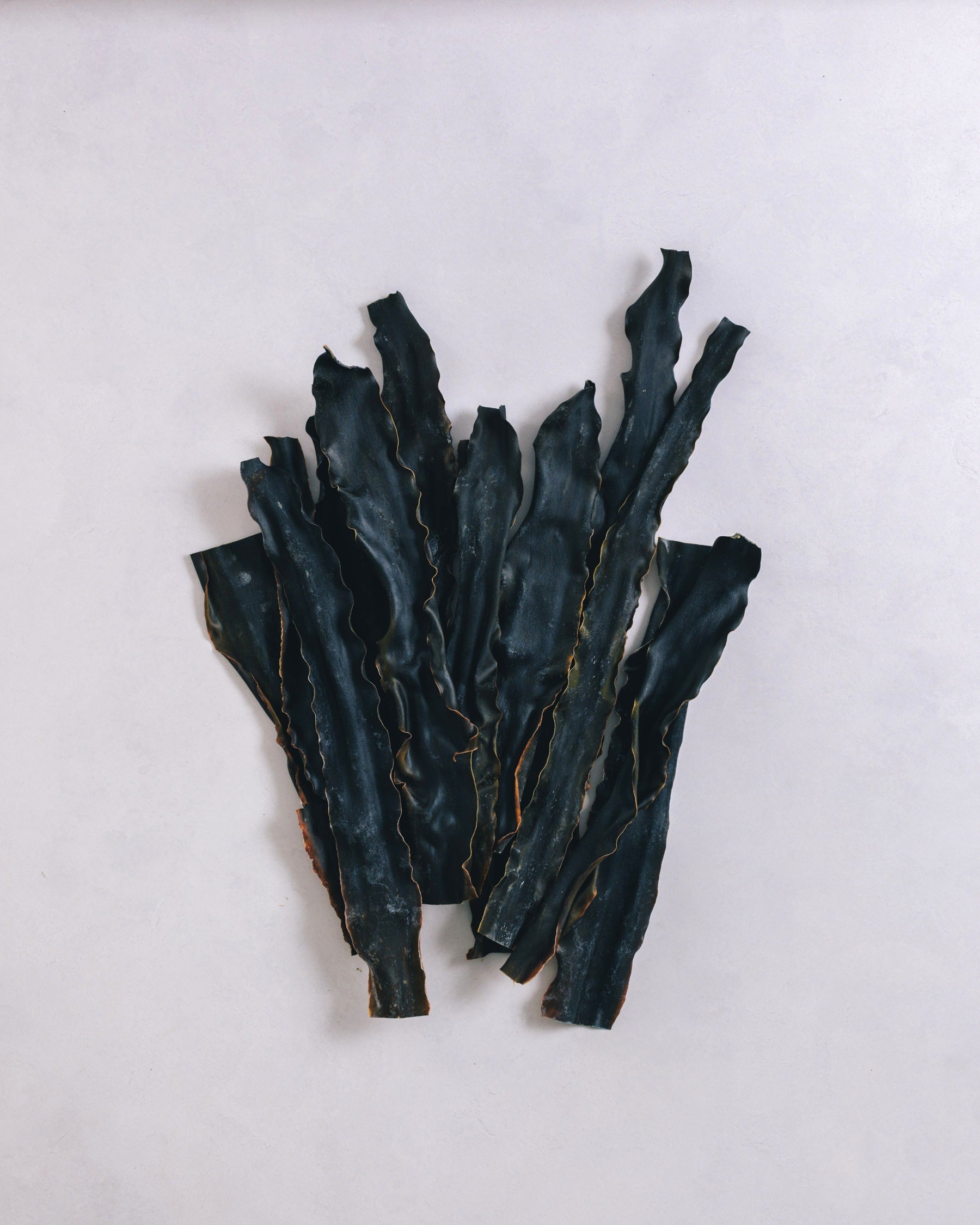 北海道礼文島 2024年夏獲れ利尻昆布 通常 300g 1pc