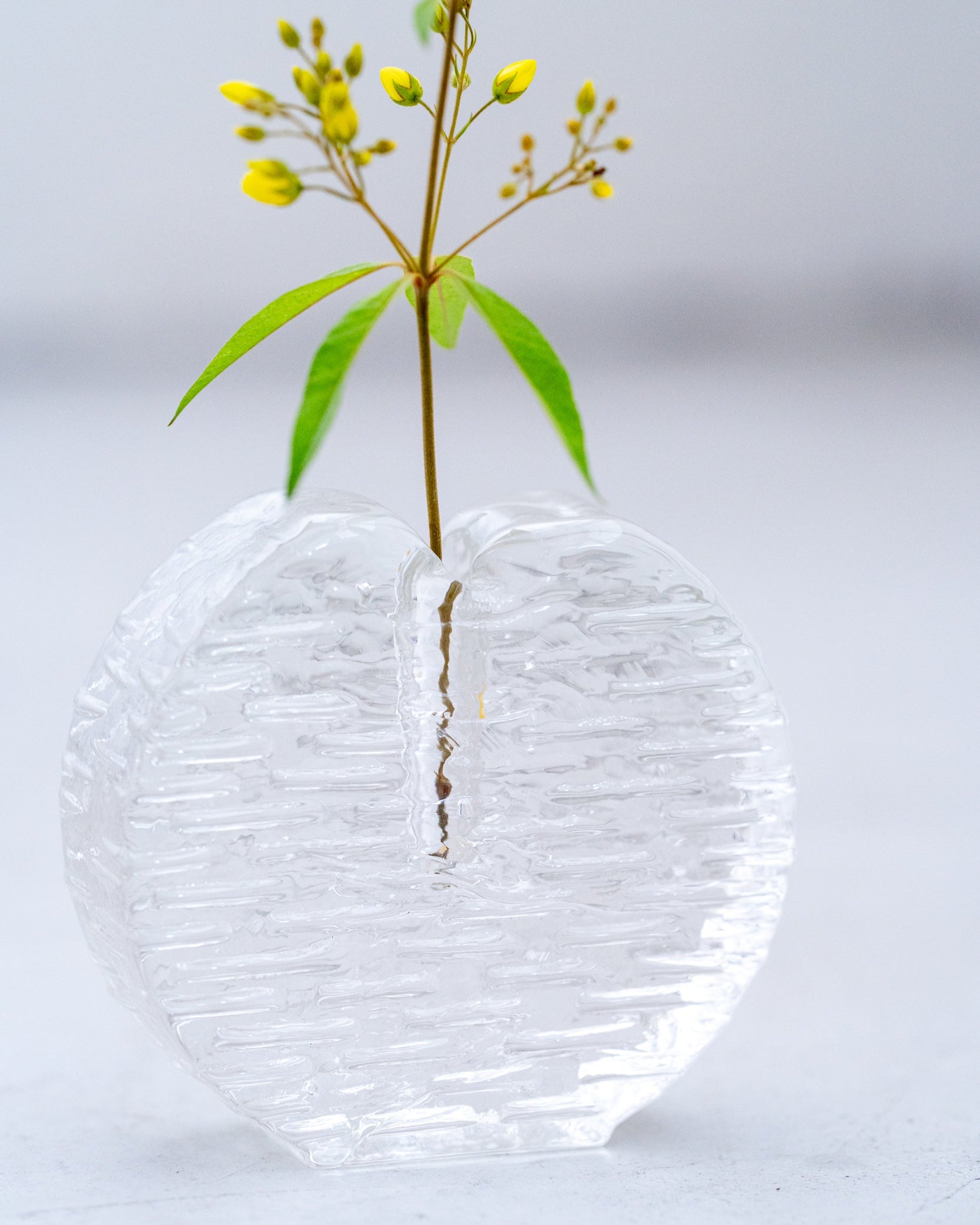 ヴィンテージフラワーベース(glass C)