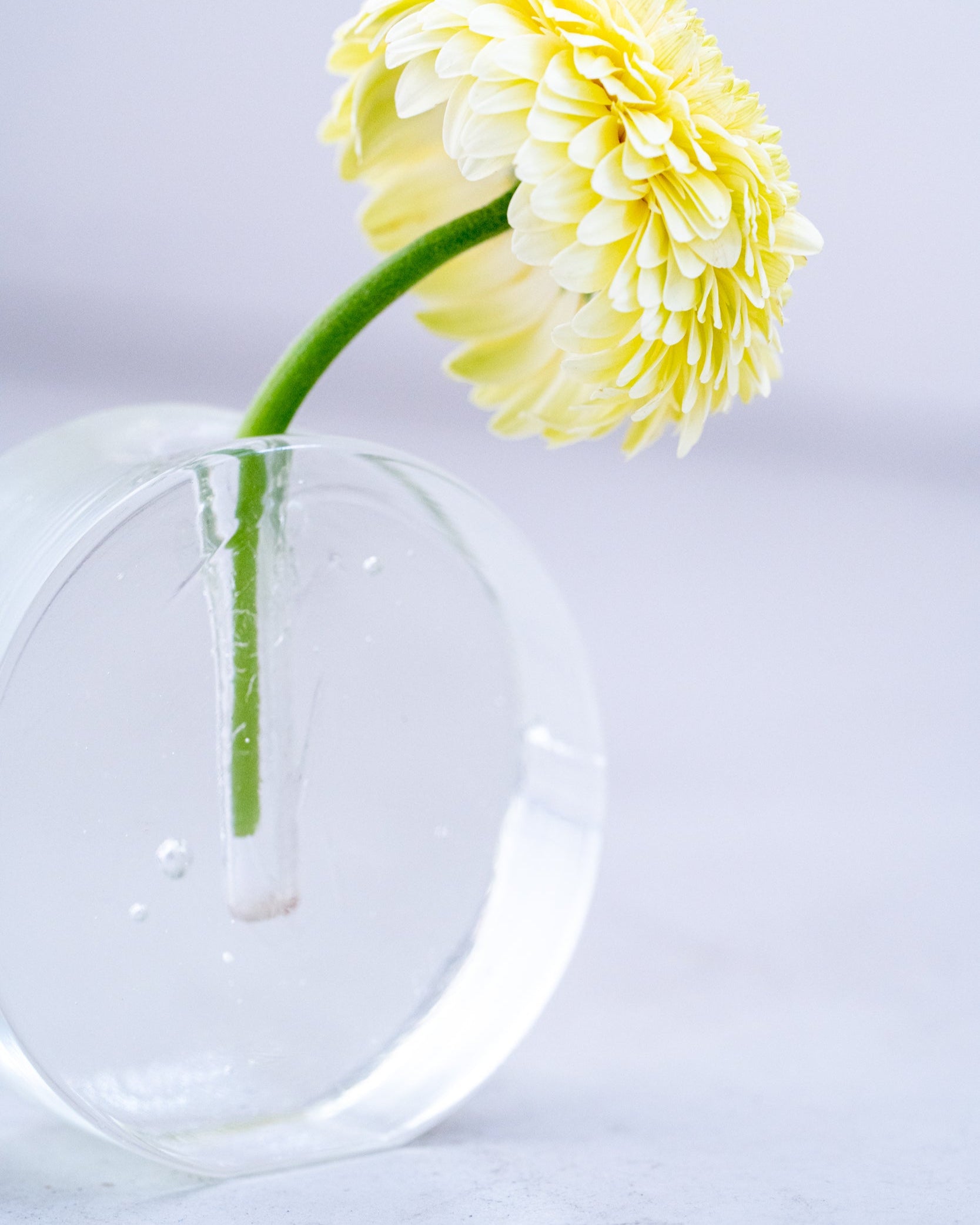 ヴィンテージフラワーベース(glass A)