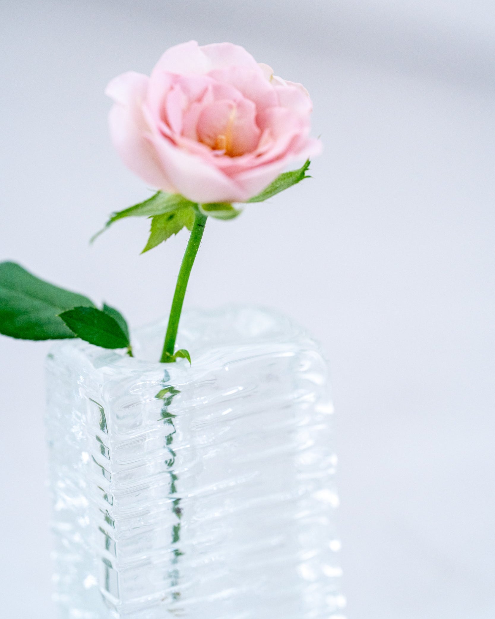 ヴィンテージフラワーベース(glass D)