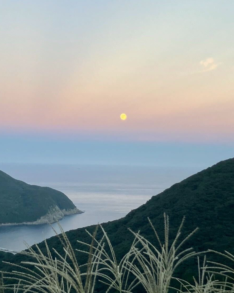 長崎県対馬 氷締め穴子の開き 2kg 冷凍