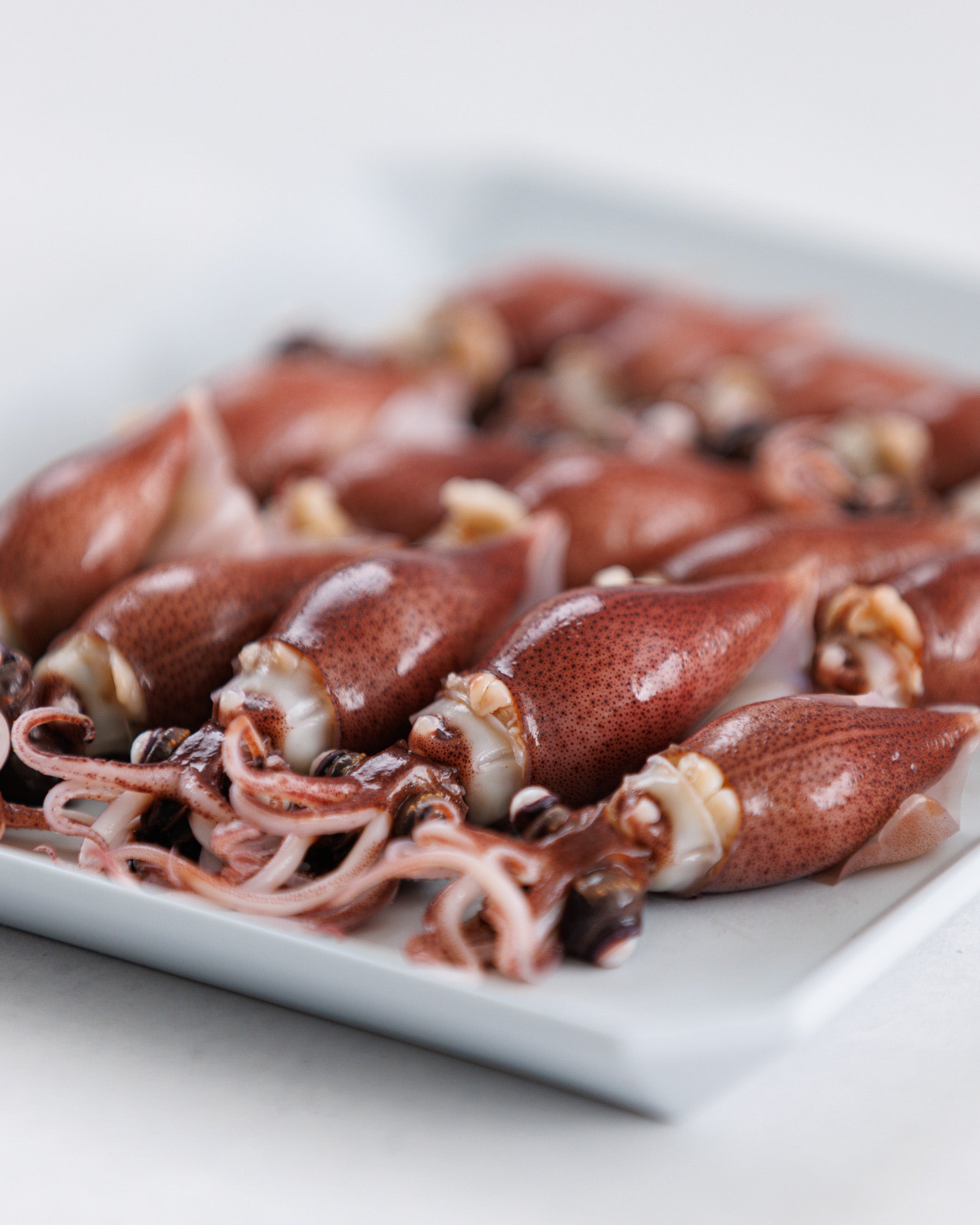 Toyama Bay seasonal seafood trial set (2-4 varieties, approximately 1kg)
