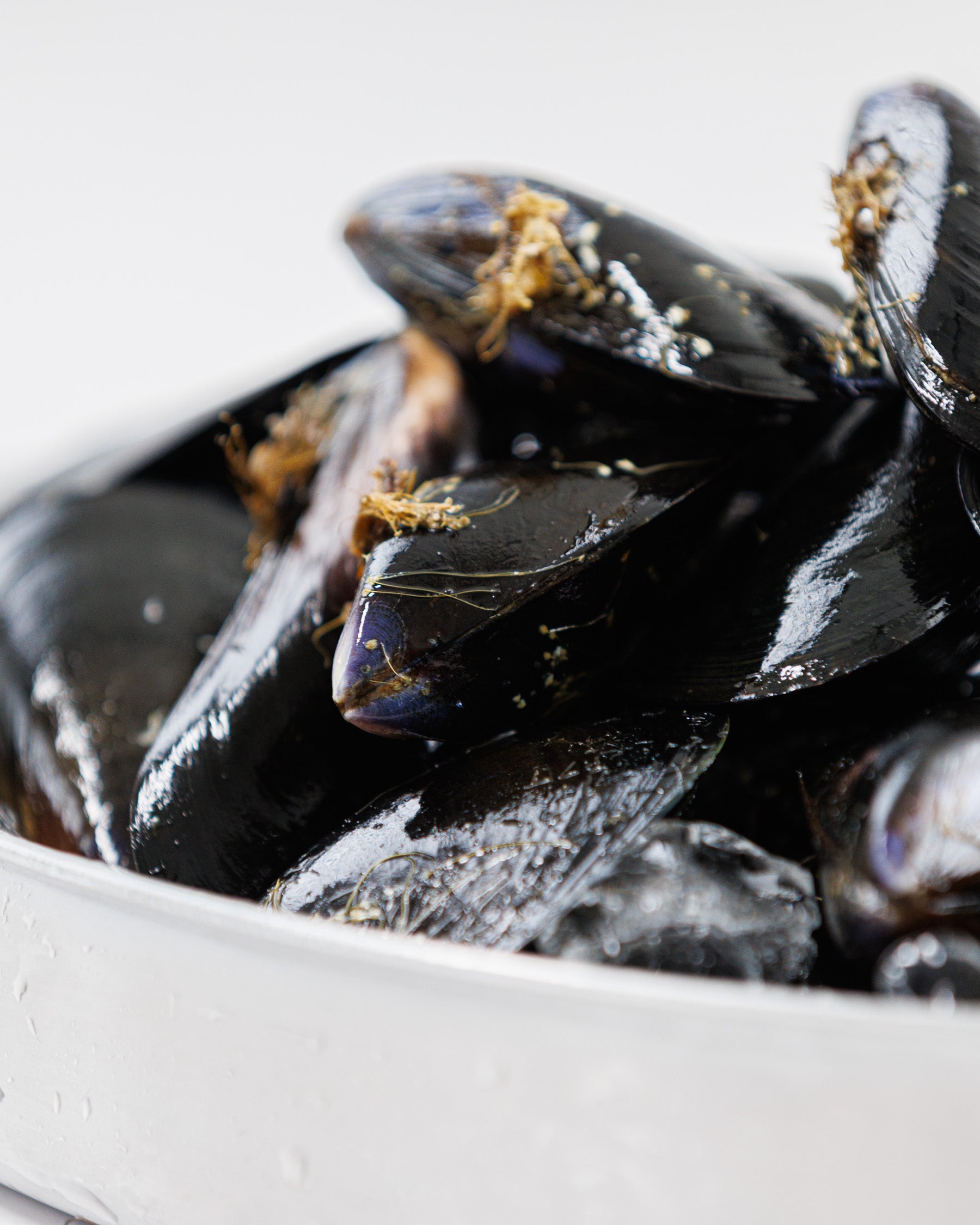 Toyama Bay Seasonal Seafood Set A (3-5 types, approximately 2.5 kg)