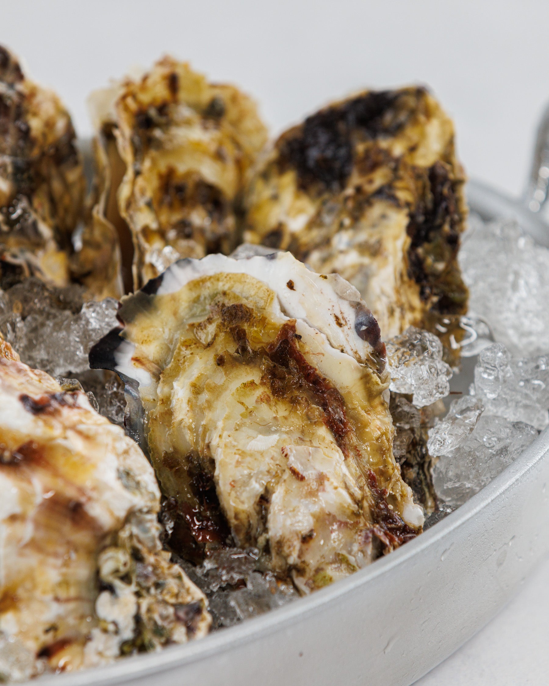 Toyama Bay Seasonal Seafood Set A (3-5 types, approximately 2.5 kg)