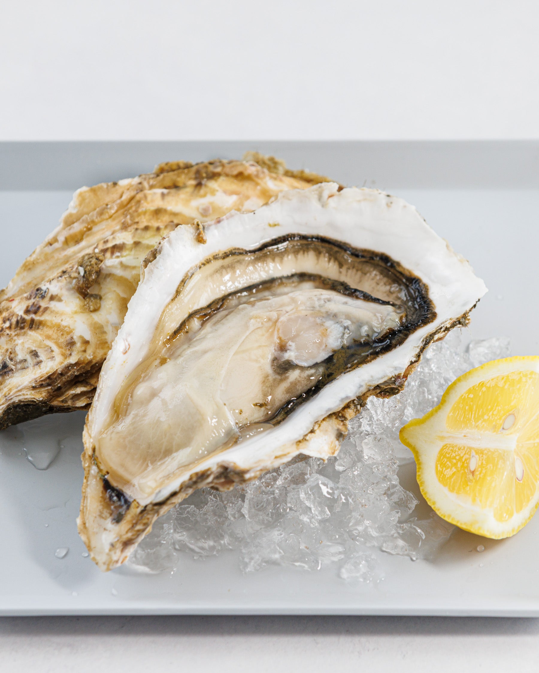 Toyama Bay Seasonal Seafood Set A (3-5 types, approximately 2.5 kg)