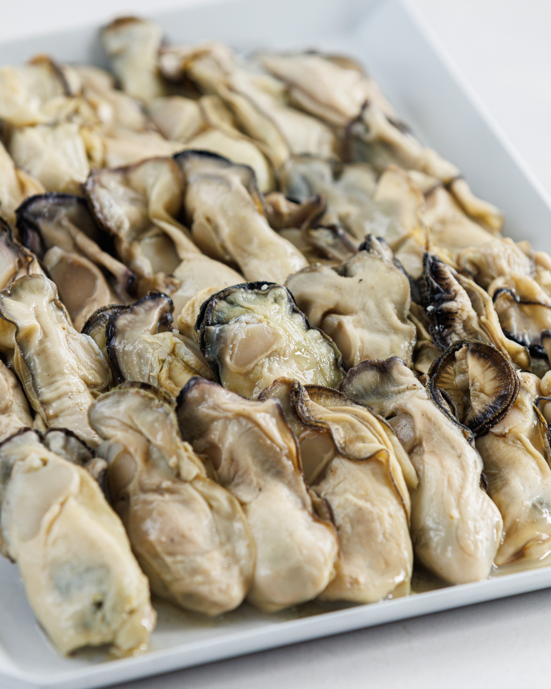 Toyama Bay Seasonal Seafood Set A (3-5 types, approximately 2.5 kg)