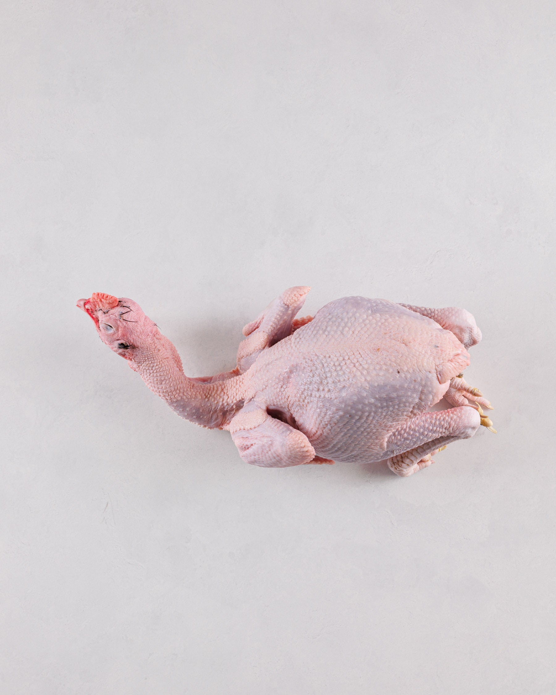 Kamogawa, Chiba Prefecture, Game Meat, Deer Shintama, 2 packs (1.2kg-1.5kg), Frozen