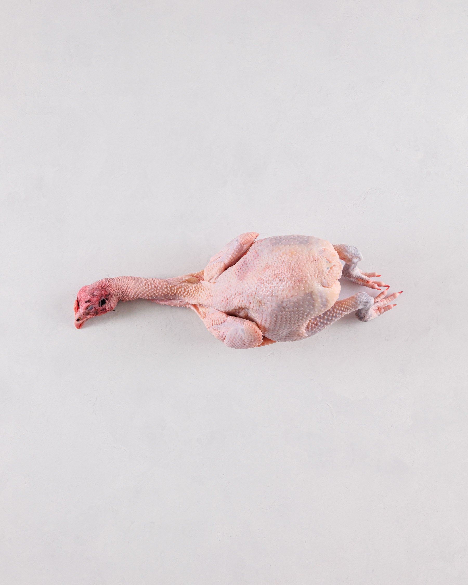 Kamogawa, Chiba Prefecture, Game Meat, Deer Shintama, 2 packs (1.2kg-1.5kg), Frozen