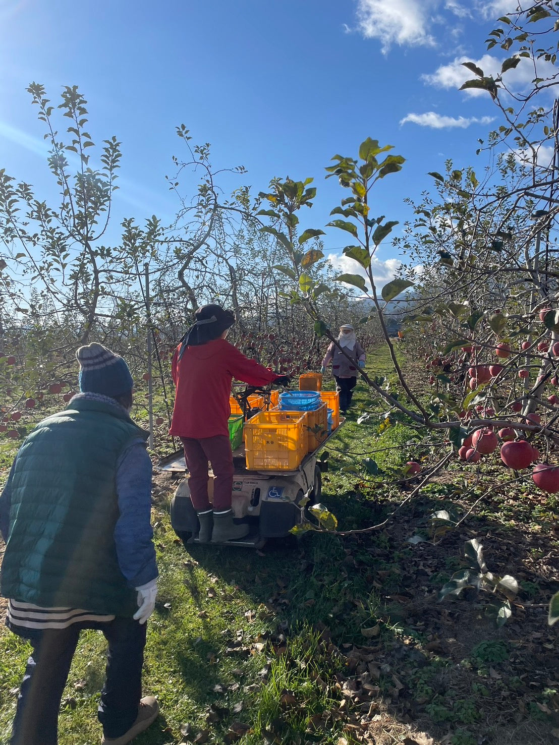 長野県安曇野市 100%りんごジュース お試し2本セット(サンツガル)