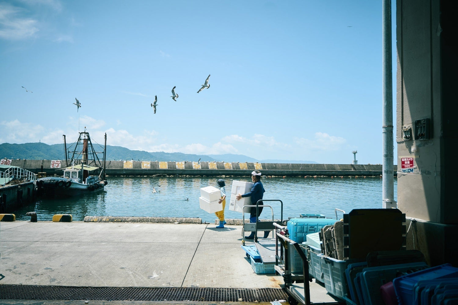 革新×本質的な魚屋が　明石の魚の魅力を発信していく