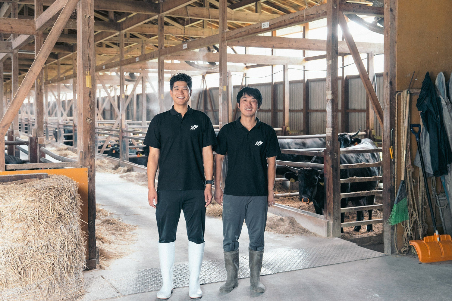 国産飼料と長期飼育にこだわった　牛肉の究極のおいしさ