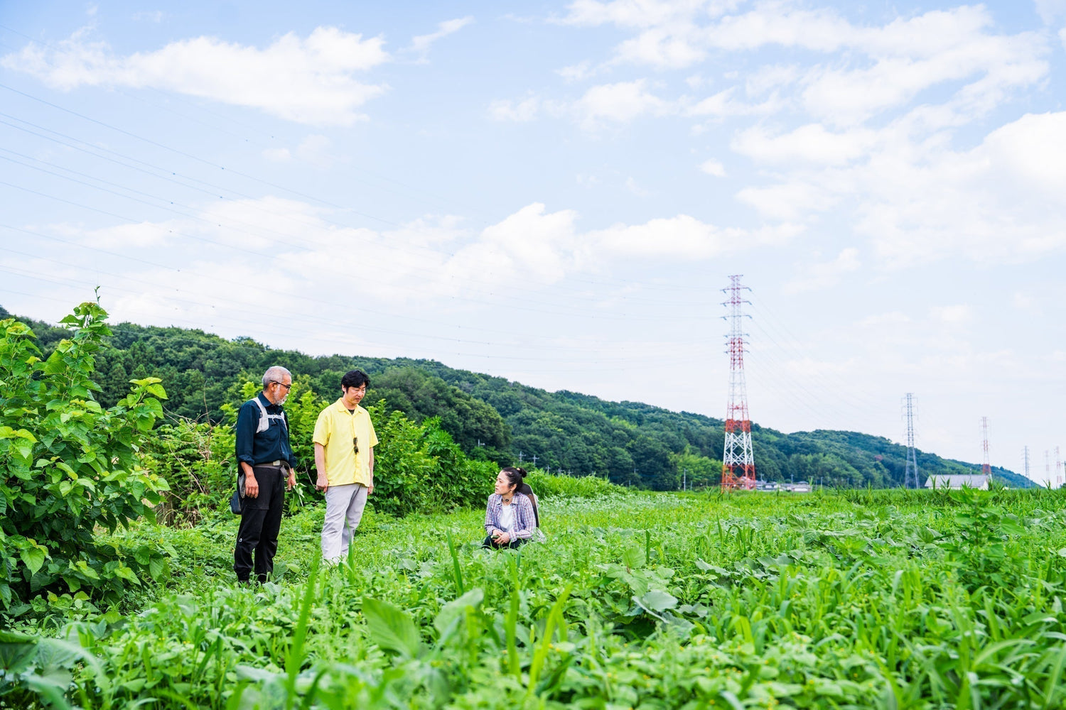 【埼玉県小川町 風の丘ファーム】地域に根ざして40年以上。　有機野菜をもっと身近な存在に