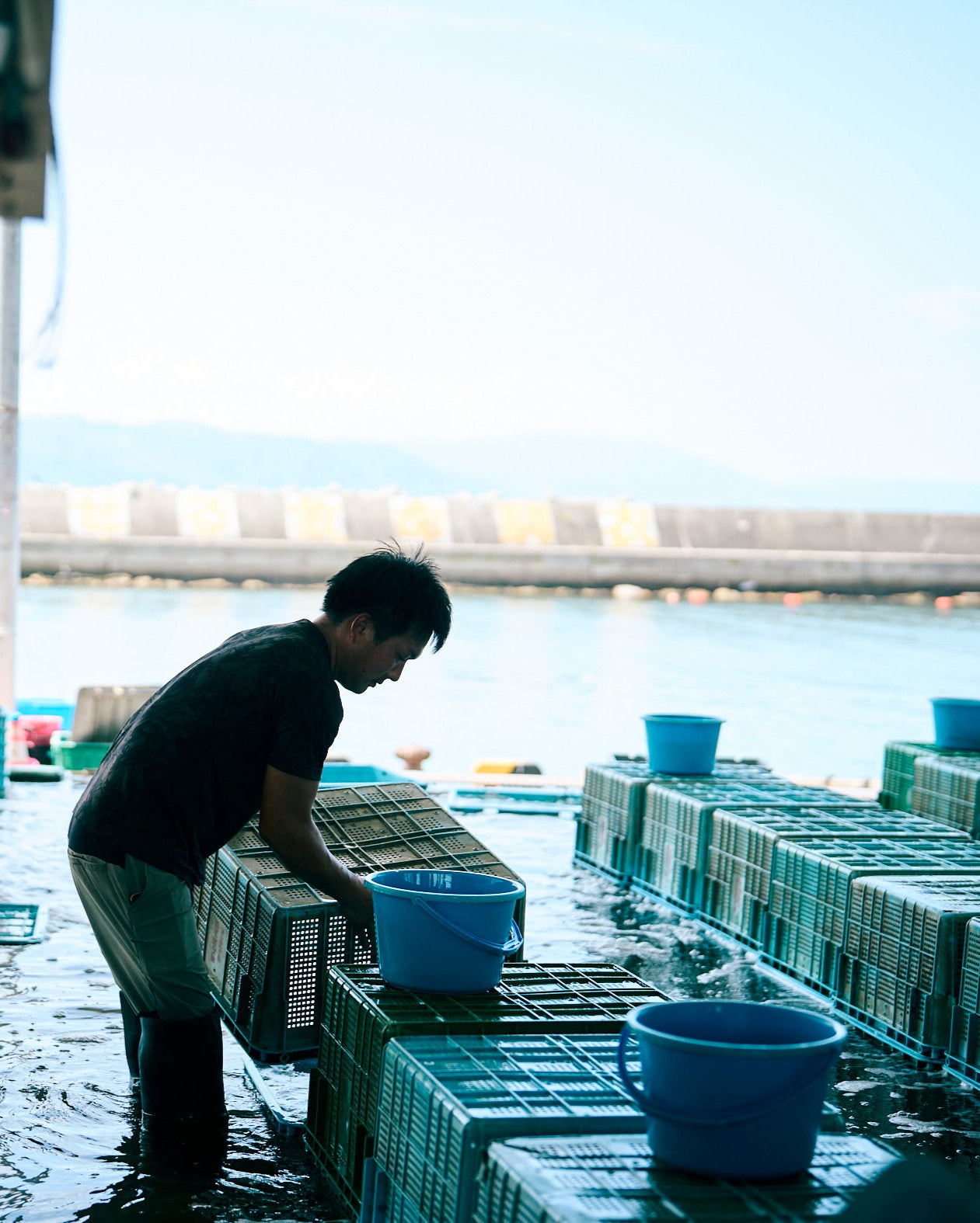 富山湾 旬の魚介お試しセット（2～4種・2kg程度）