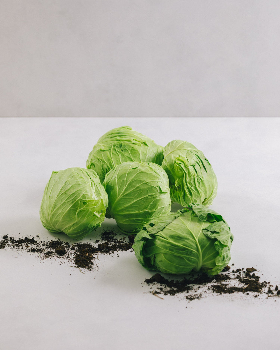 千葉県館山・南房総　キャベツ　10kg