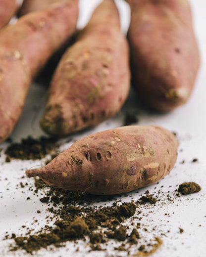 千葉県館山・南房総　さつまいも（シルクスイート）　10kg