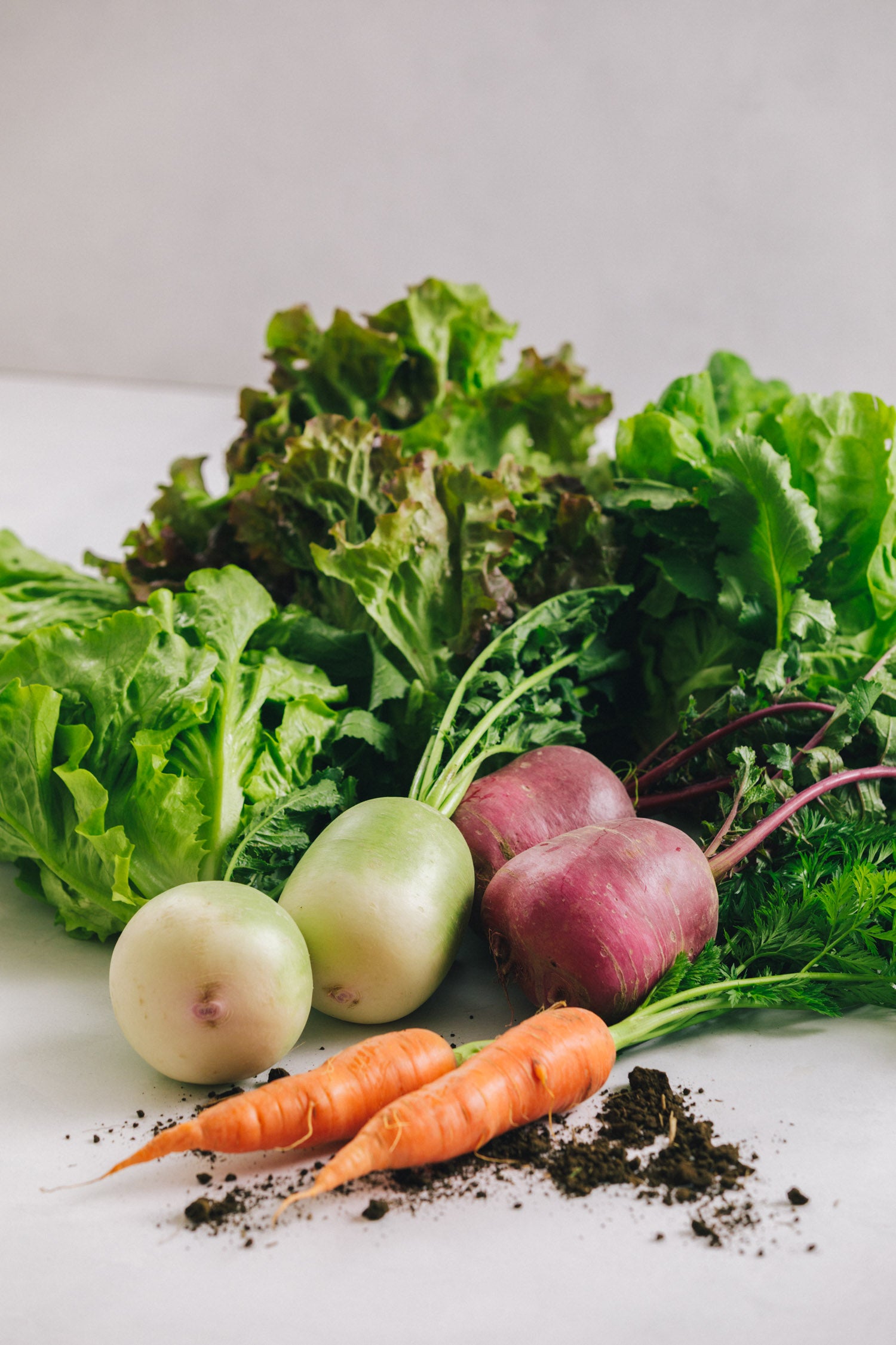 千葉県館山・南房総　サラダ野菜セット