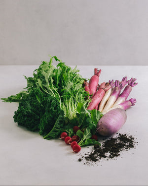 Ogawamachi, Saitama Prefecture Seasonal Vegetable Trial Set (5-7 varieties)