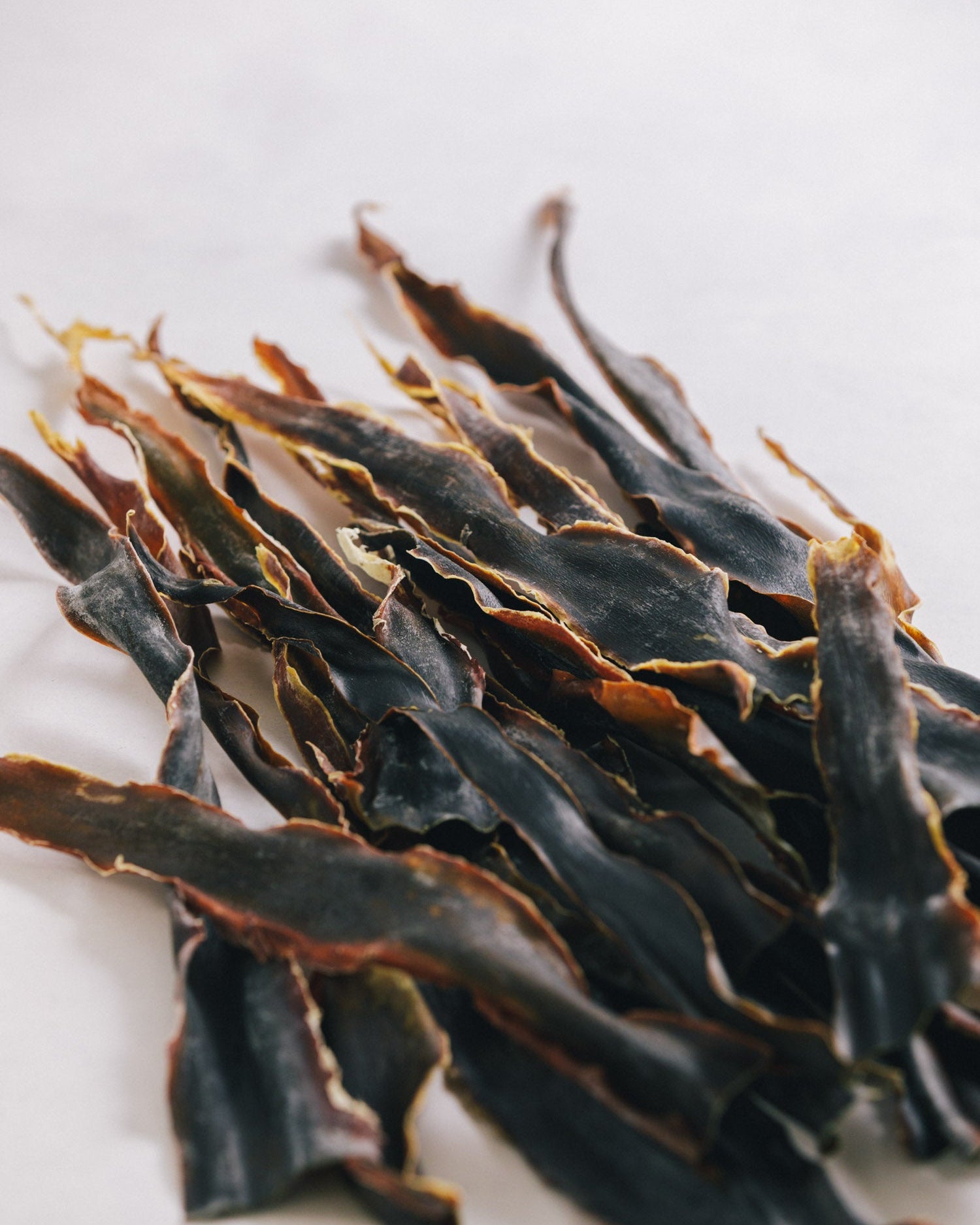 北海道礼文島　2024年夏獲れ利尻昆布　先　300g　1pc