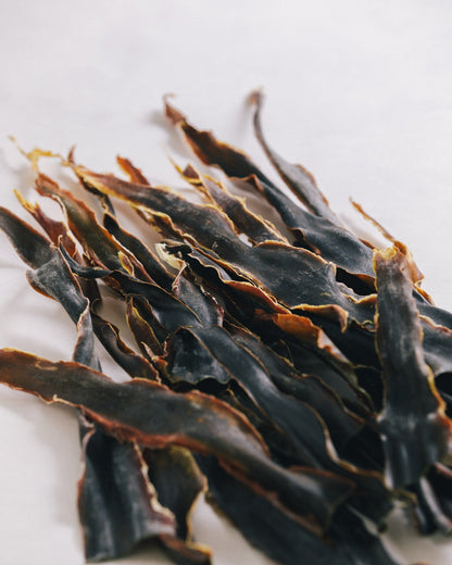 北海道礼文島　2024年夏獲れ利尻昆布　先　300g　1pc