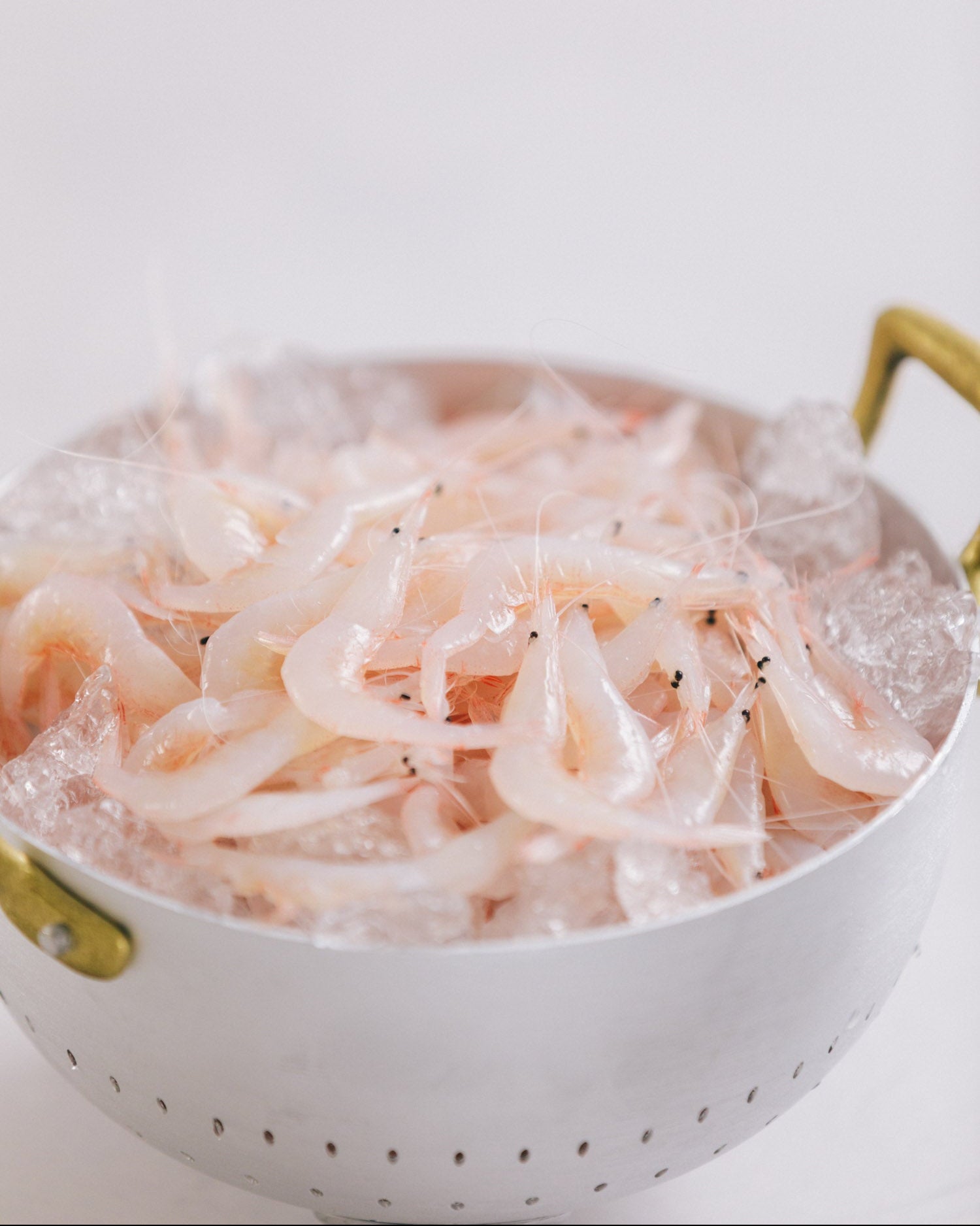 富山県産刺身用白エビ殻付　500g（1pc）　冷凍　