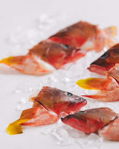 長崎県対馬　アカハタ兜　2kg　冷凍