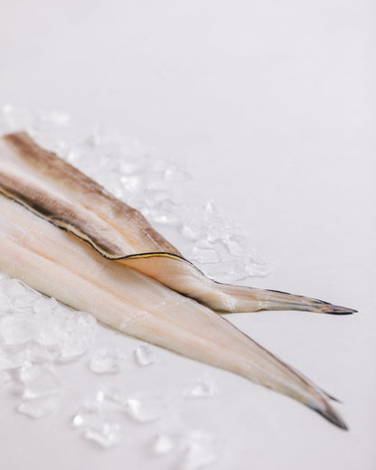 長崎県対馬　氷締め穴子の開き　2kg　冷凍