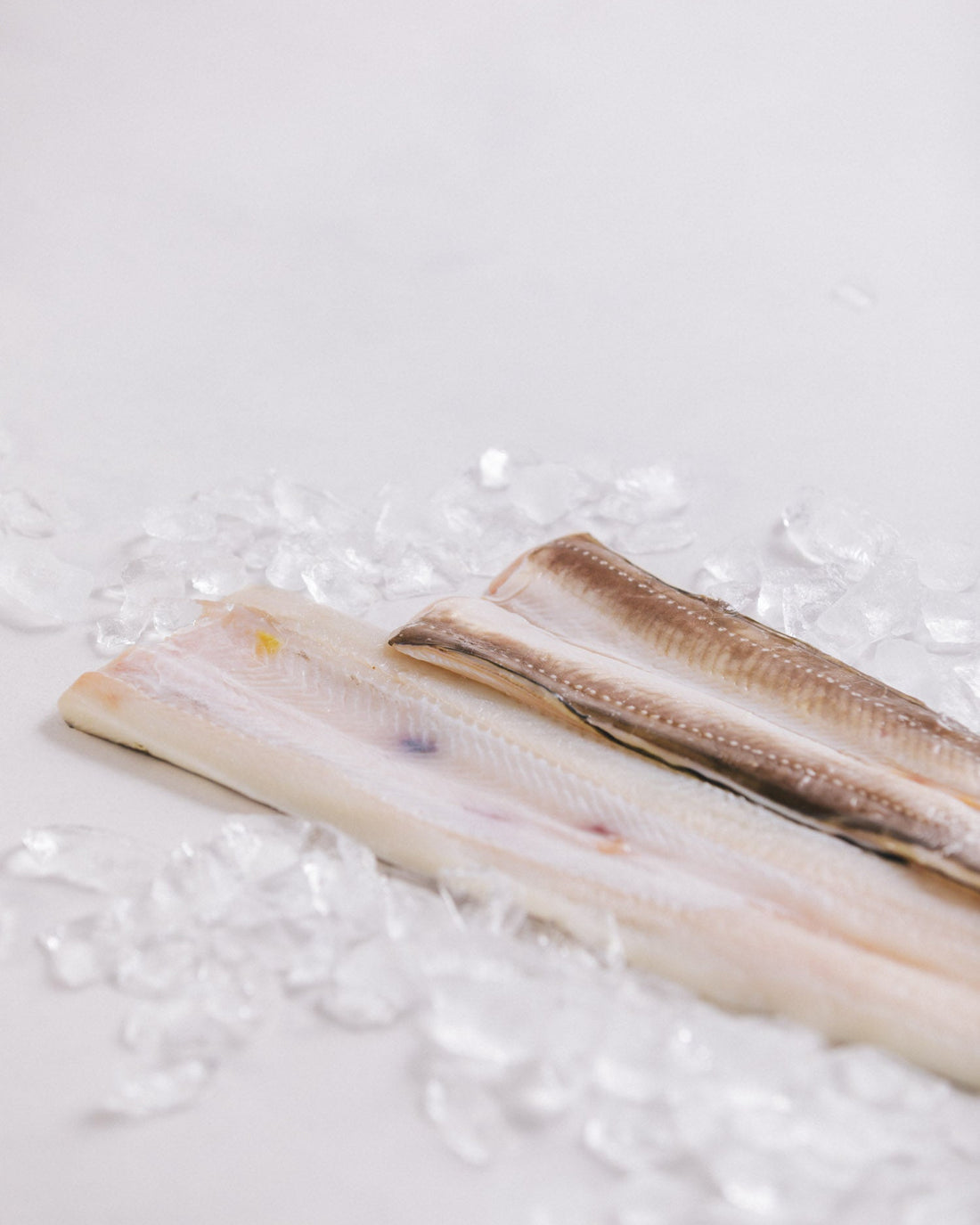 長崎県対馬　氷締め穴子の開き　4kg　冷凍